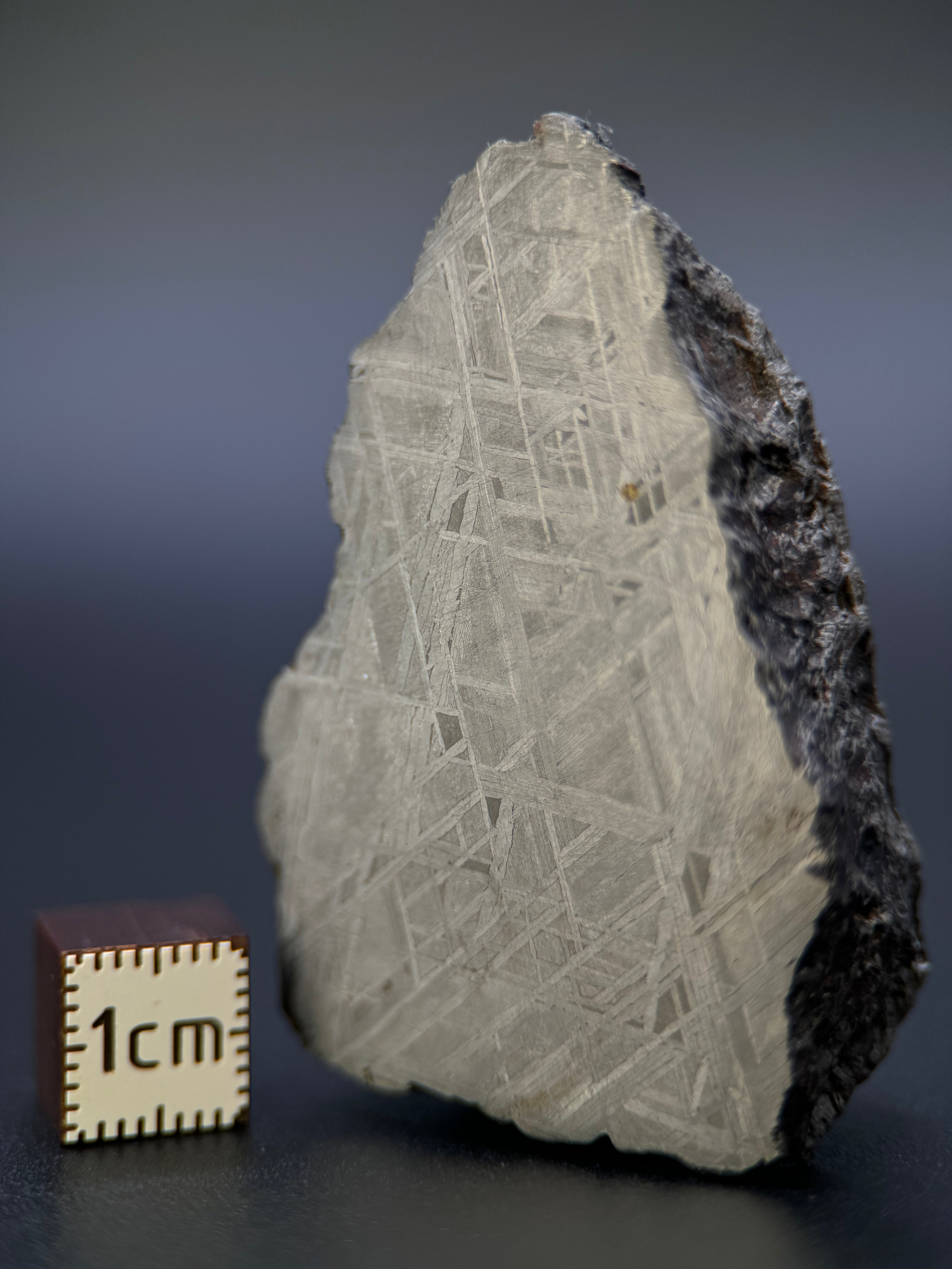 MUONIONALUSTA METEORITE, SWEDEN. 129,8 GRAMS END-CUT