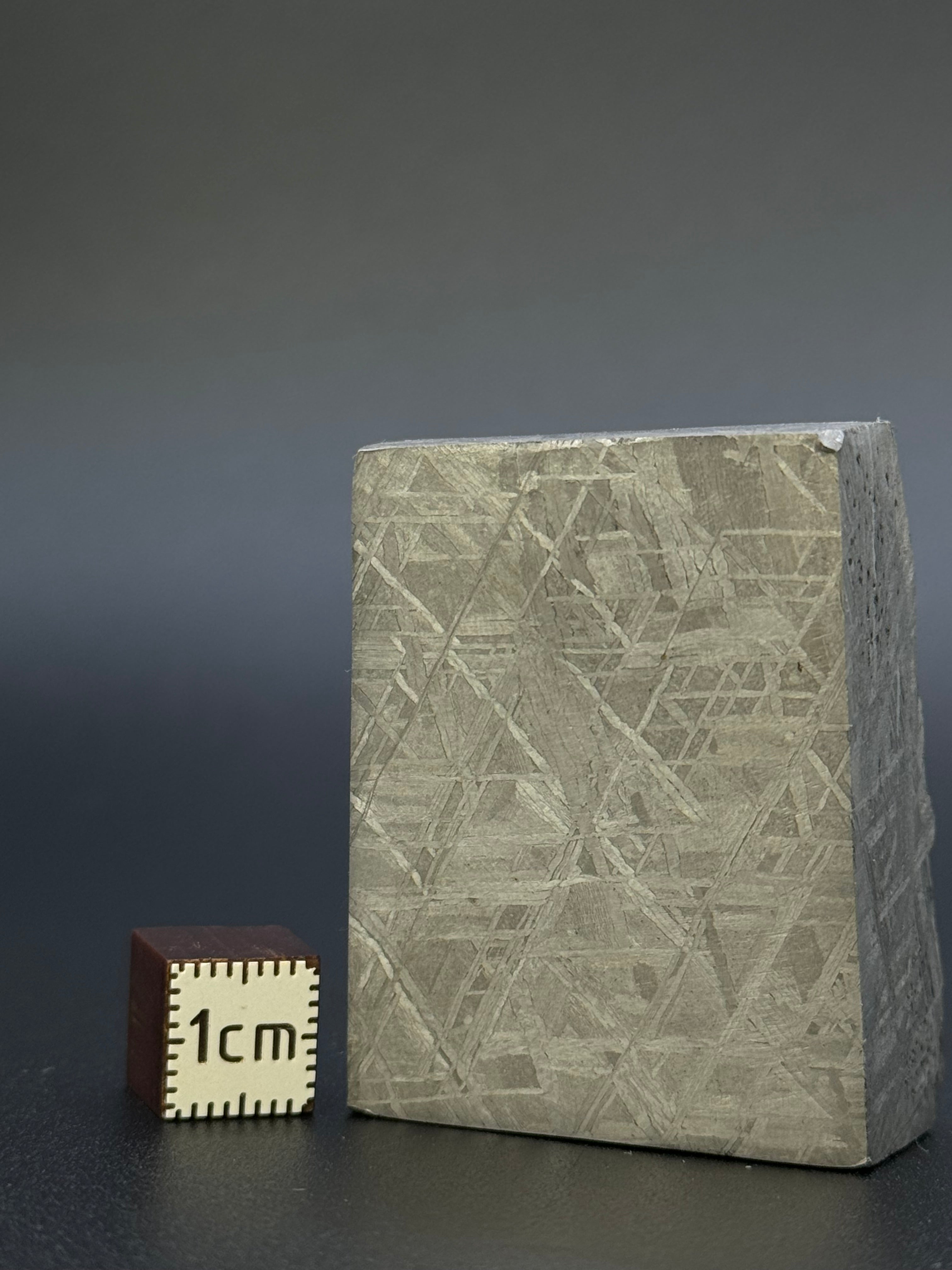 MUONIONALUSTA METEORITE, SWEDEN. 132,8 GRAMS END-CUT.