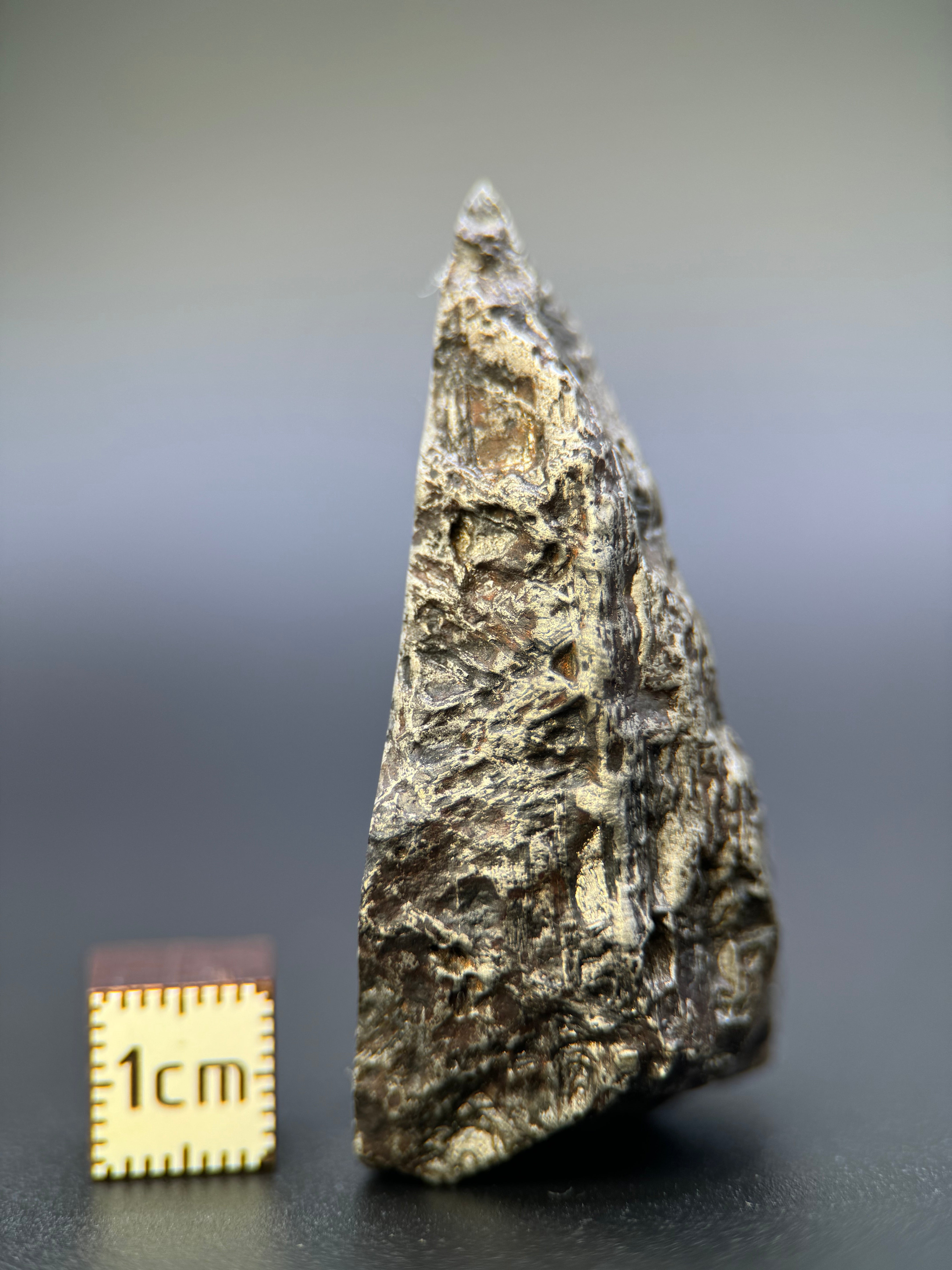 MUONIONALUSTA METEORITE, SWEDEN. 129,8 GRAMS END-CUT