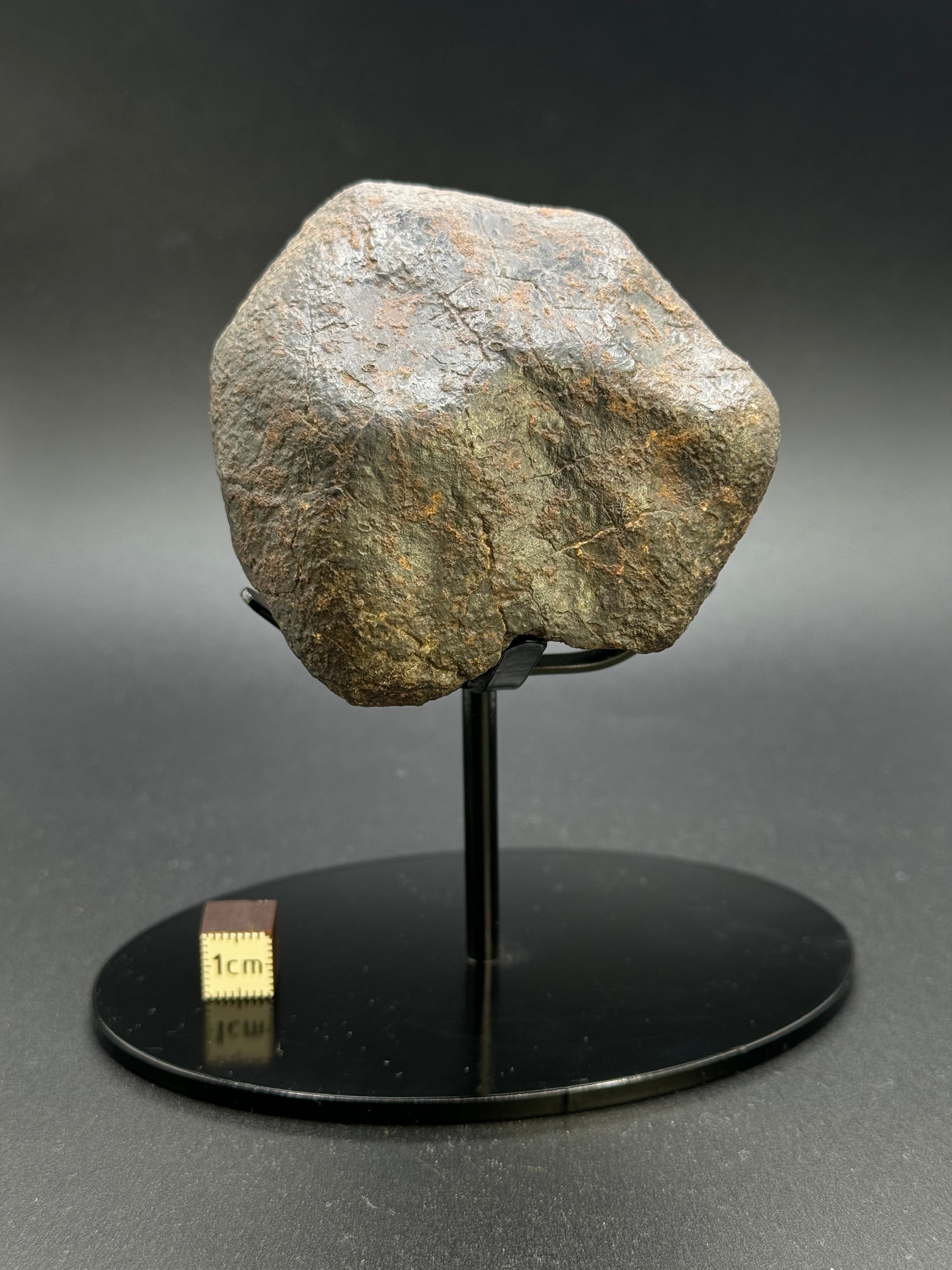 CHONDRITE METEORITE, NORTH WEST AFRICA. 437 GRAMS.