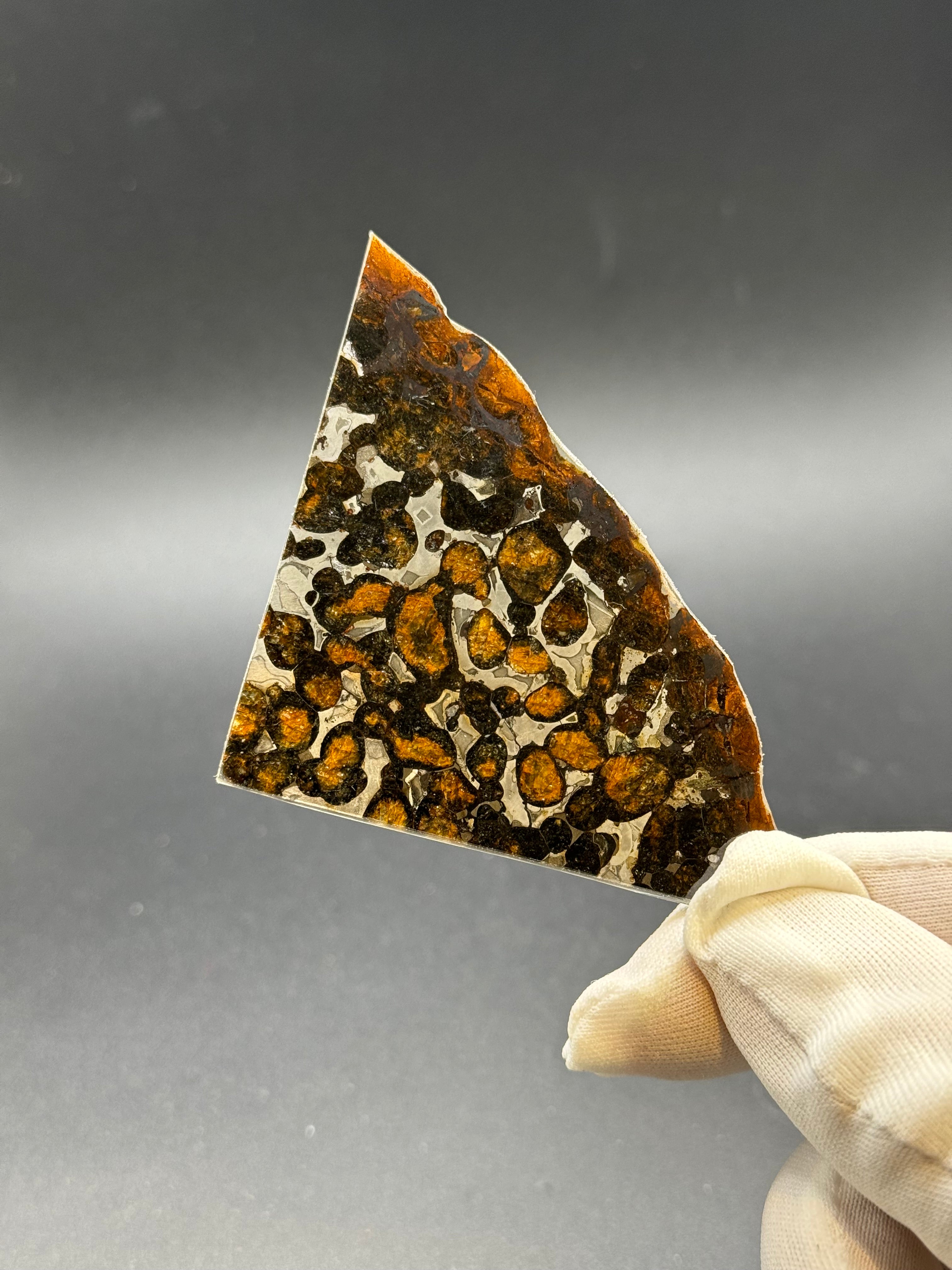 SERICHO METEORITE, KENYA. 16,3 GRAMS.