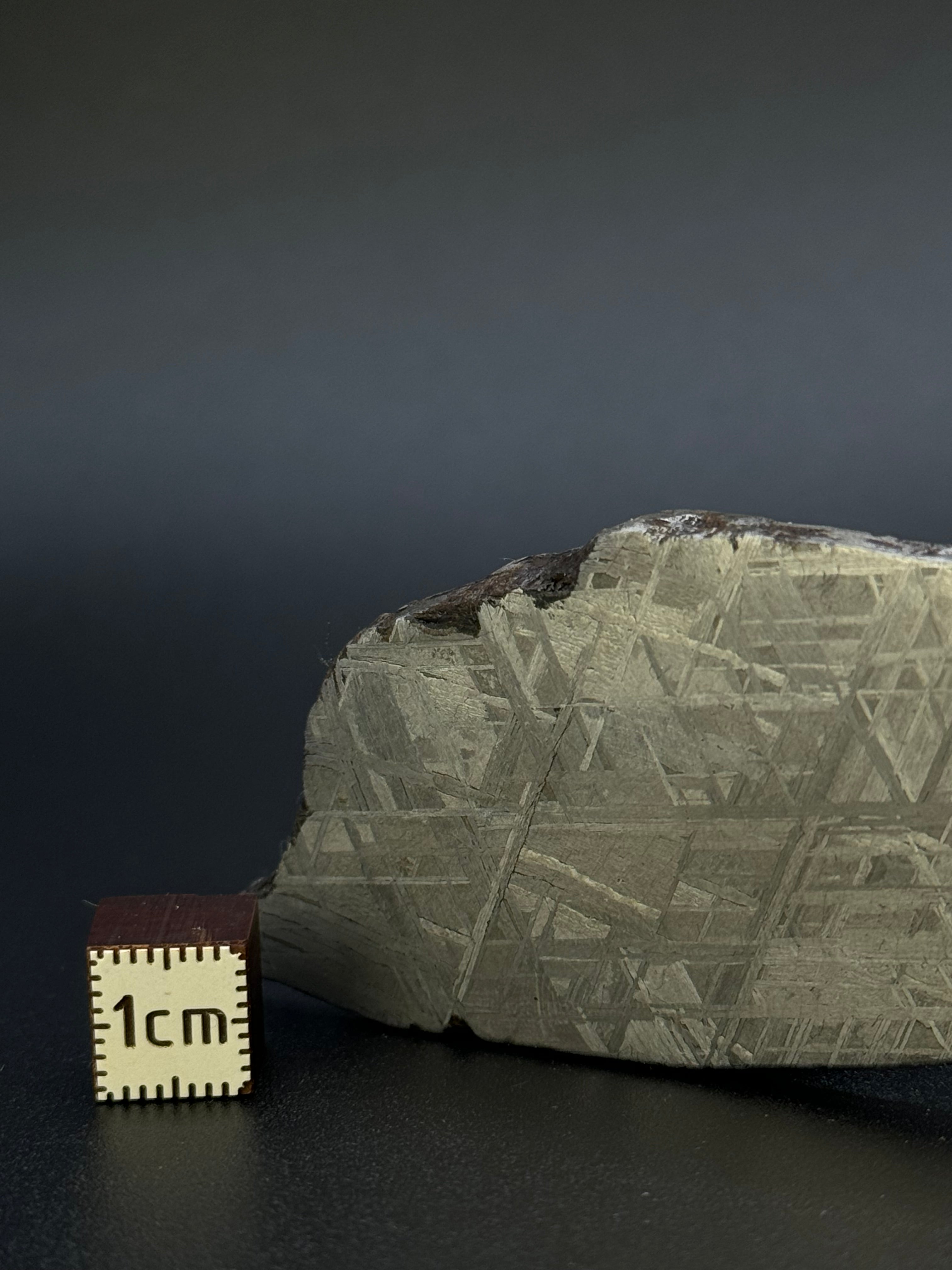 MUONIONALUSTA METEORITE, SWEDEN. 49,18 GRAMS.