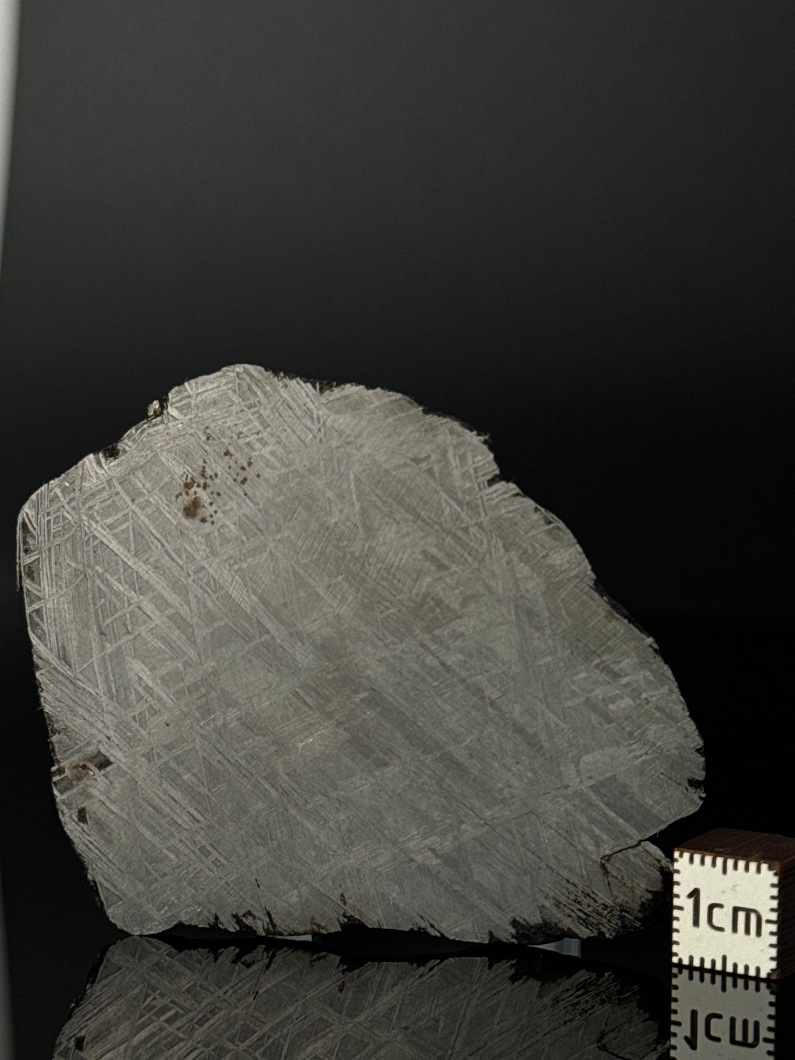 MUONIONALUSTA METEORITE, SWEDEN 66,46 GRAMS.