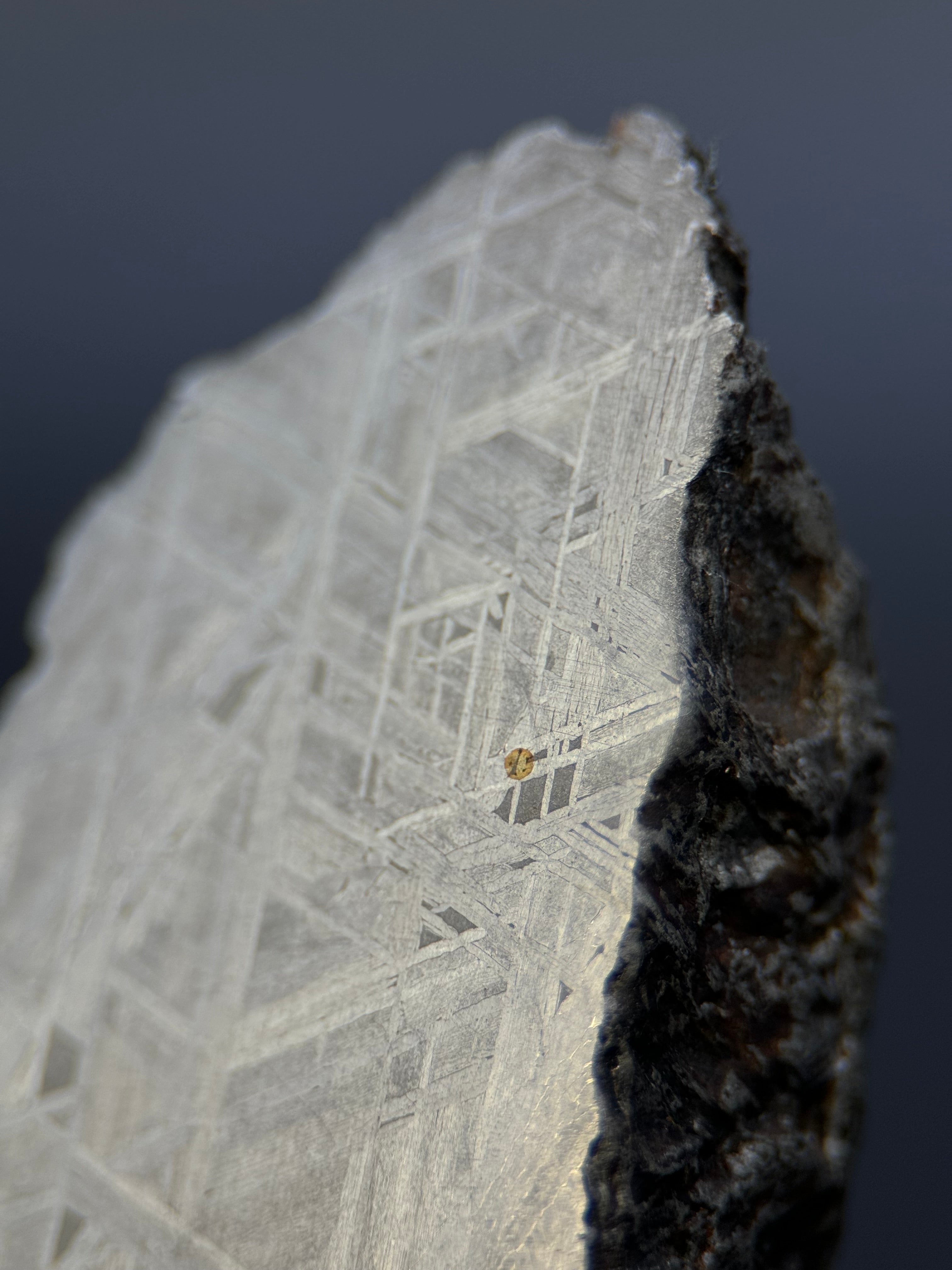 MUONIONALUSTA METEORITE, SWEDEN. 129,8 GRAMS END-CUT