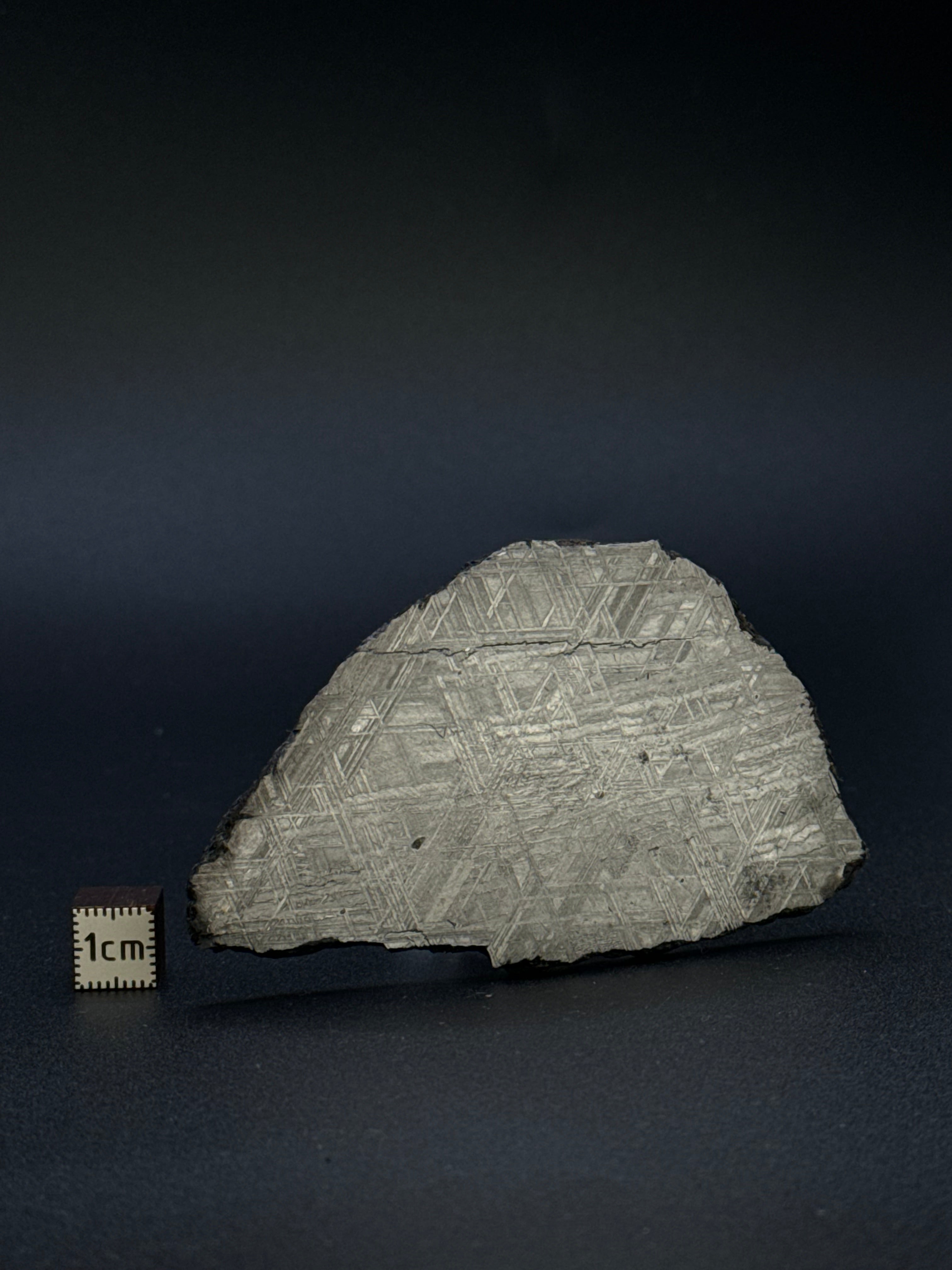MUONIONALUSTA METEORITE, SWEDEN. 98,30 GRAMS.