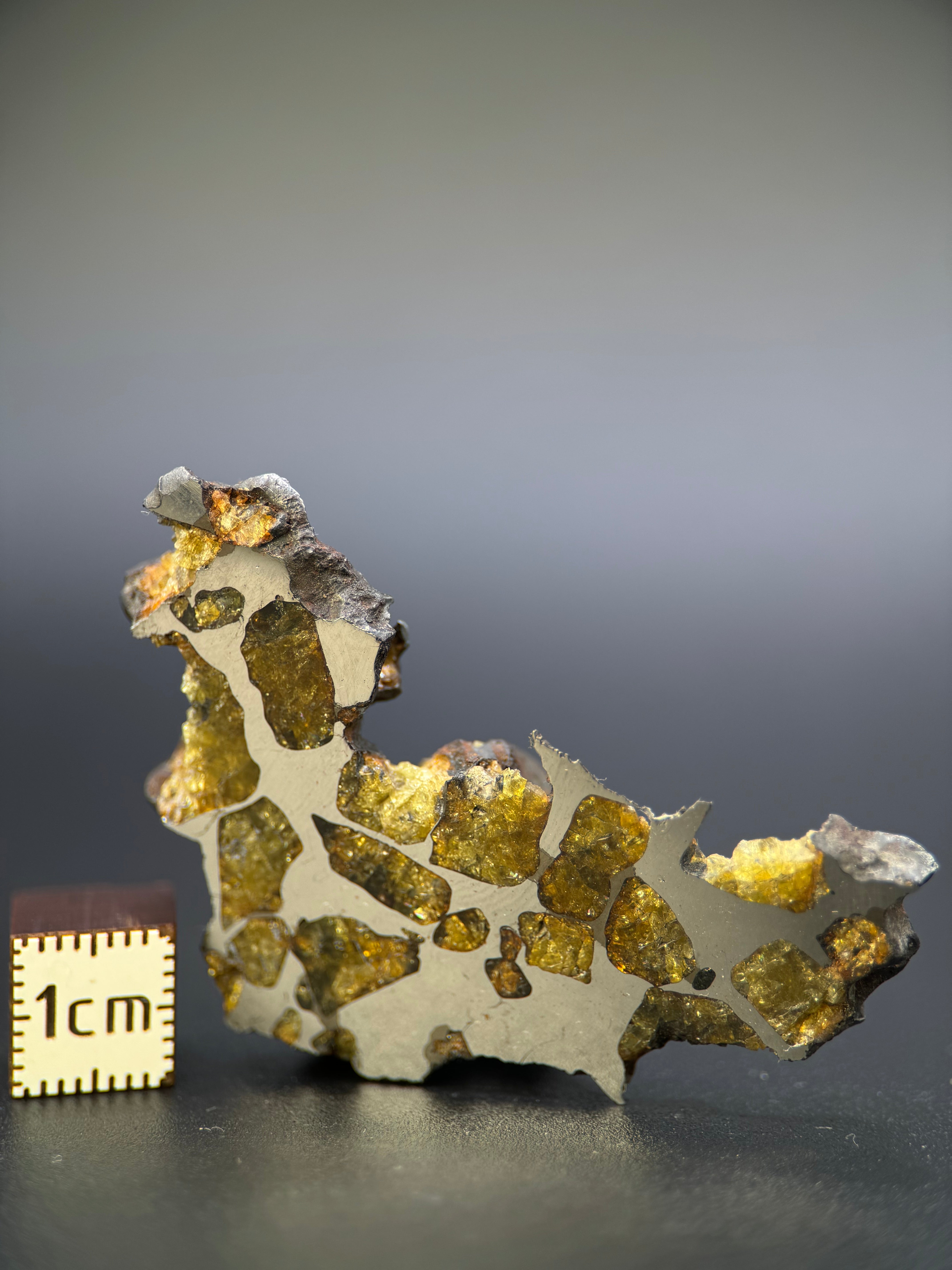 IMILAC PALLASITE METEORITE, END CUT, CHILE. 25,2 GRAMS.