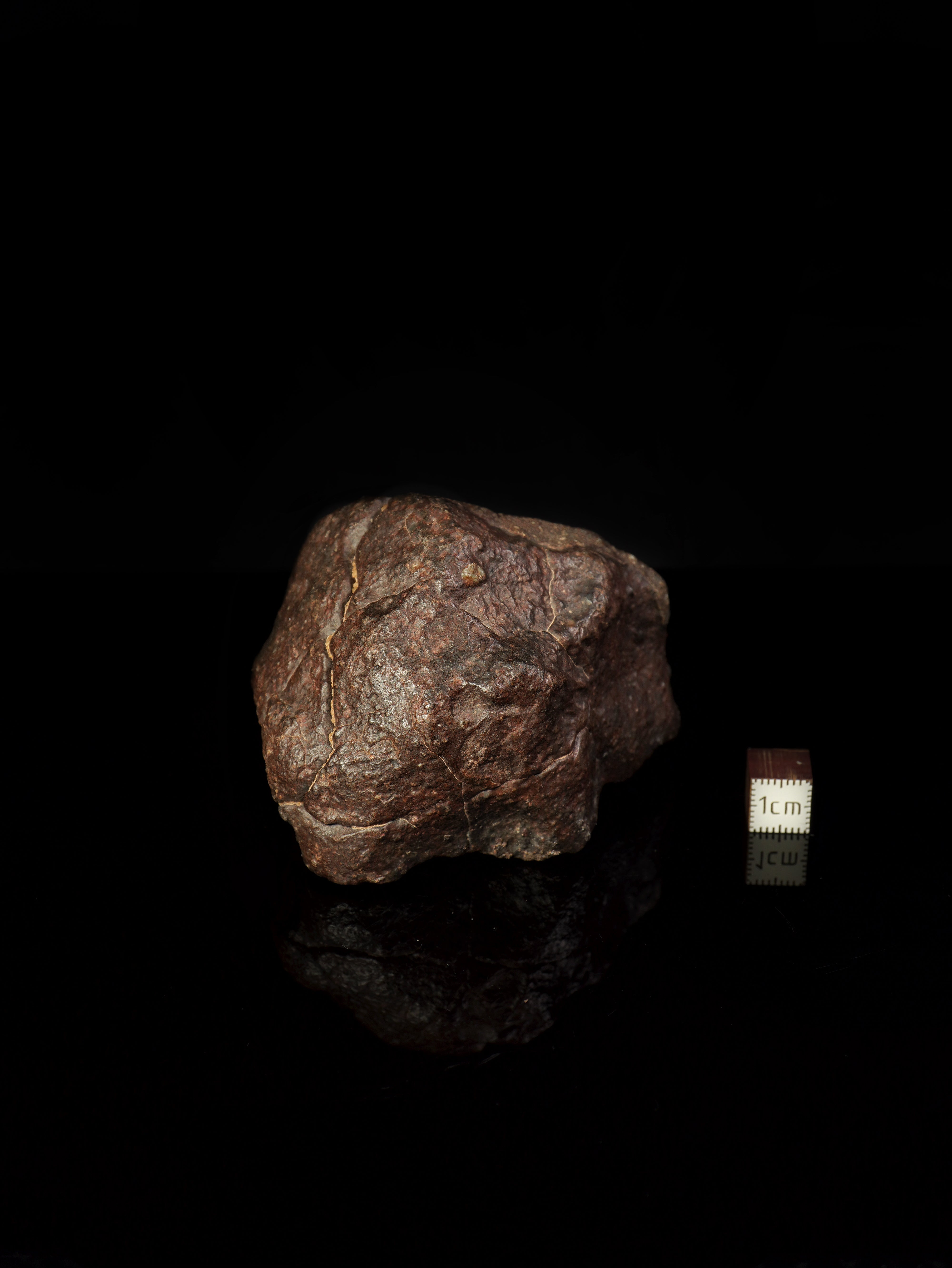 CHONDRITE METEORITE, NORTH WEST AFRICA. 368 GRAMS.