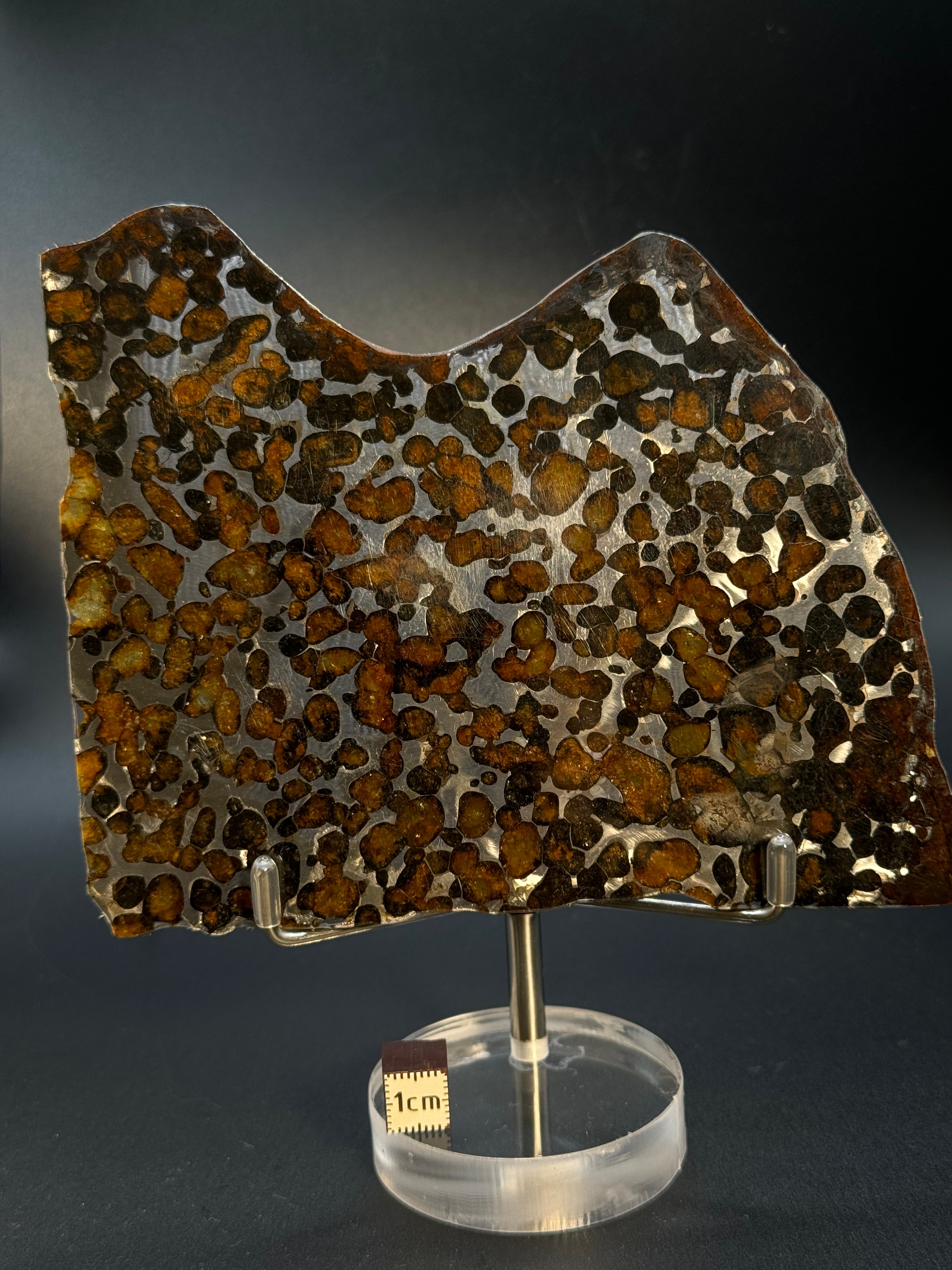 SERICHO METEORITE, KENYA. 81 GRAMS SLICE