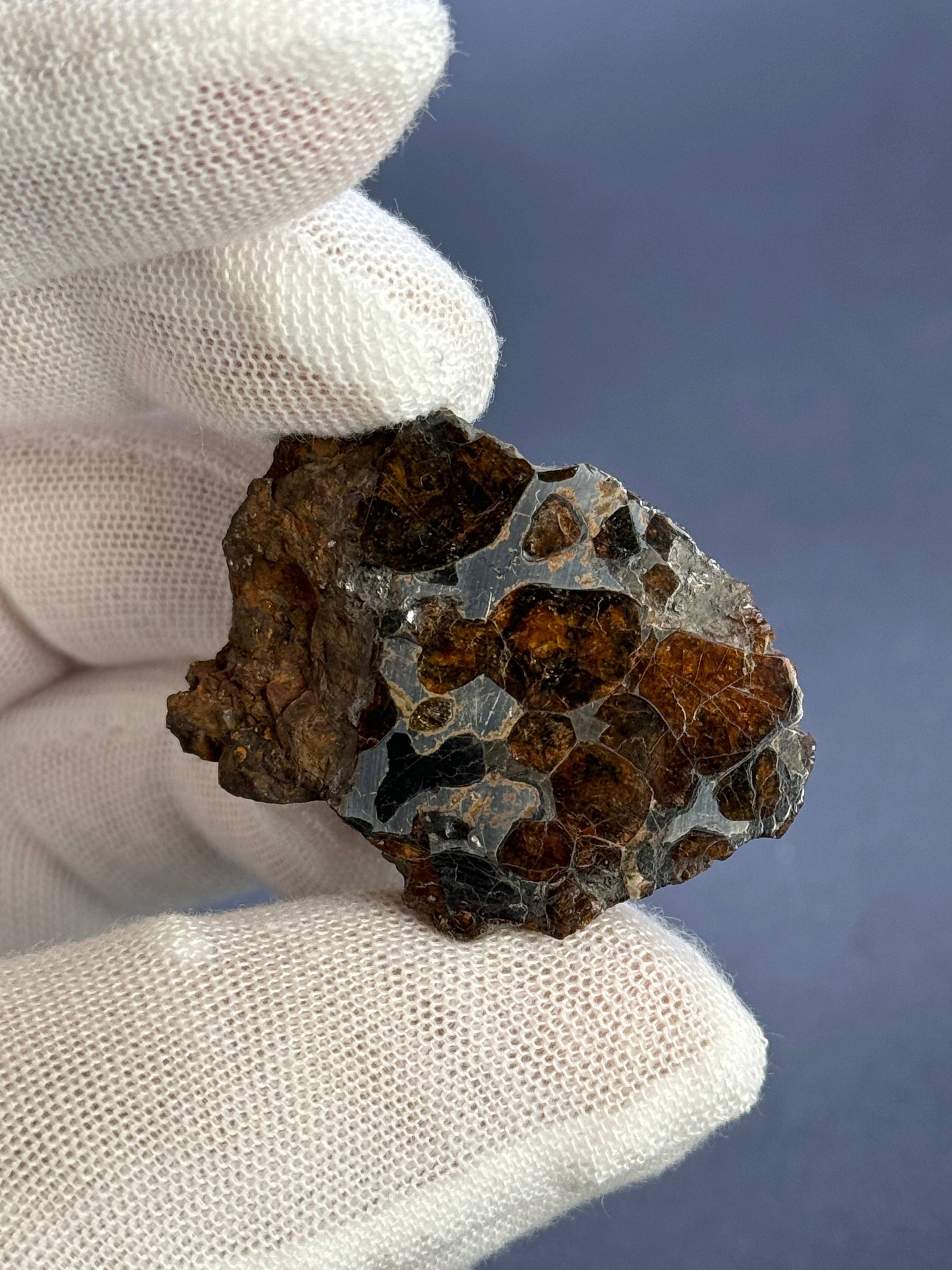 SERICHO PALLASITE METEORITE, KENYA. 24,94 GRAMS END-CUT