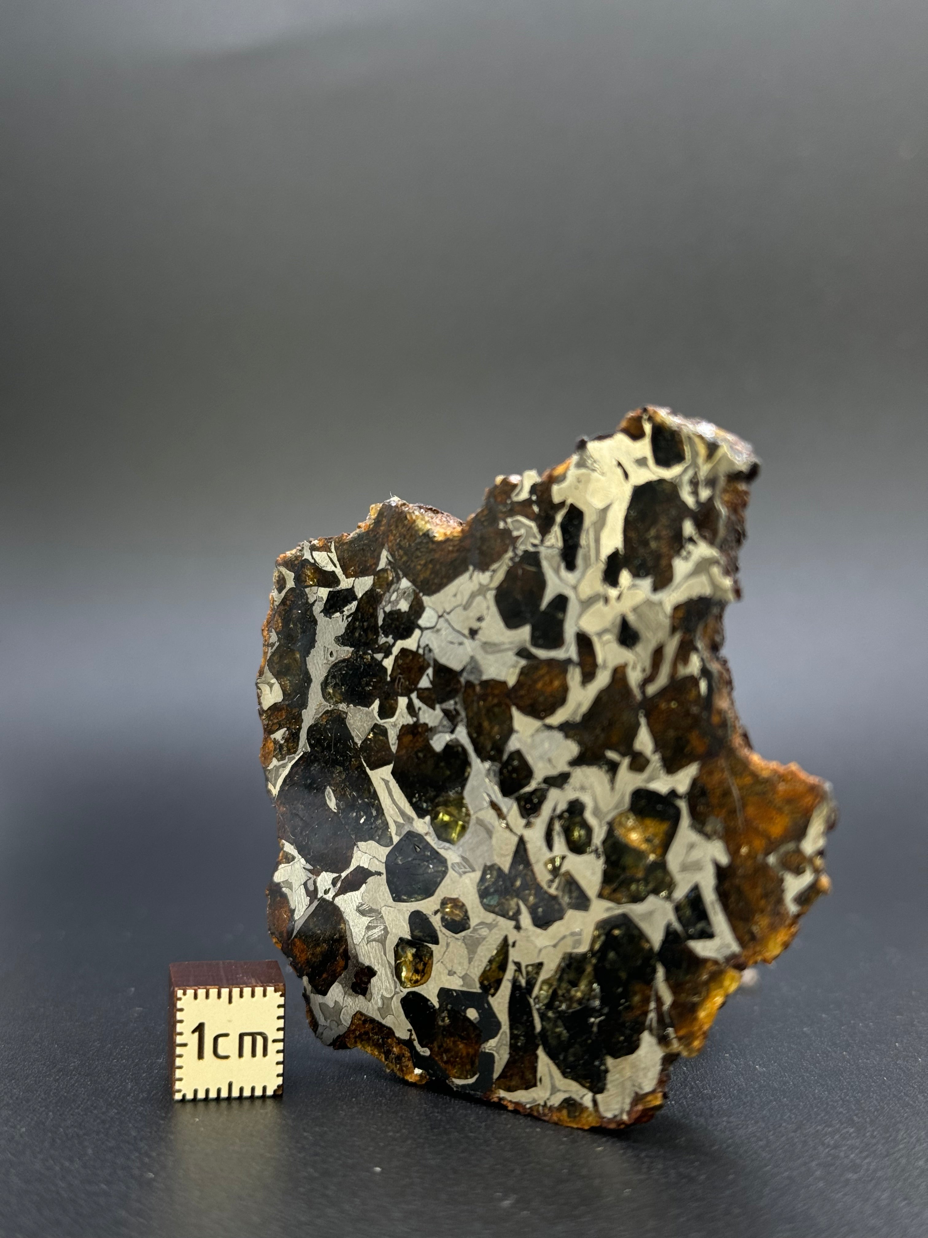 SEYMCHAN METEORITE, MAGADAN REGION, RUSSIA. 96 GRAMS END-CUT.