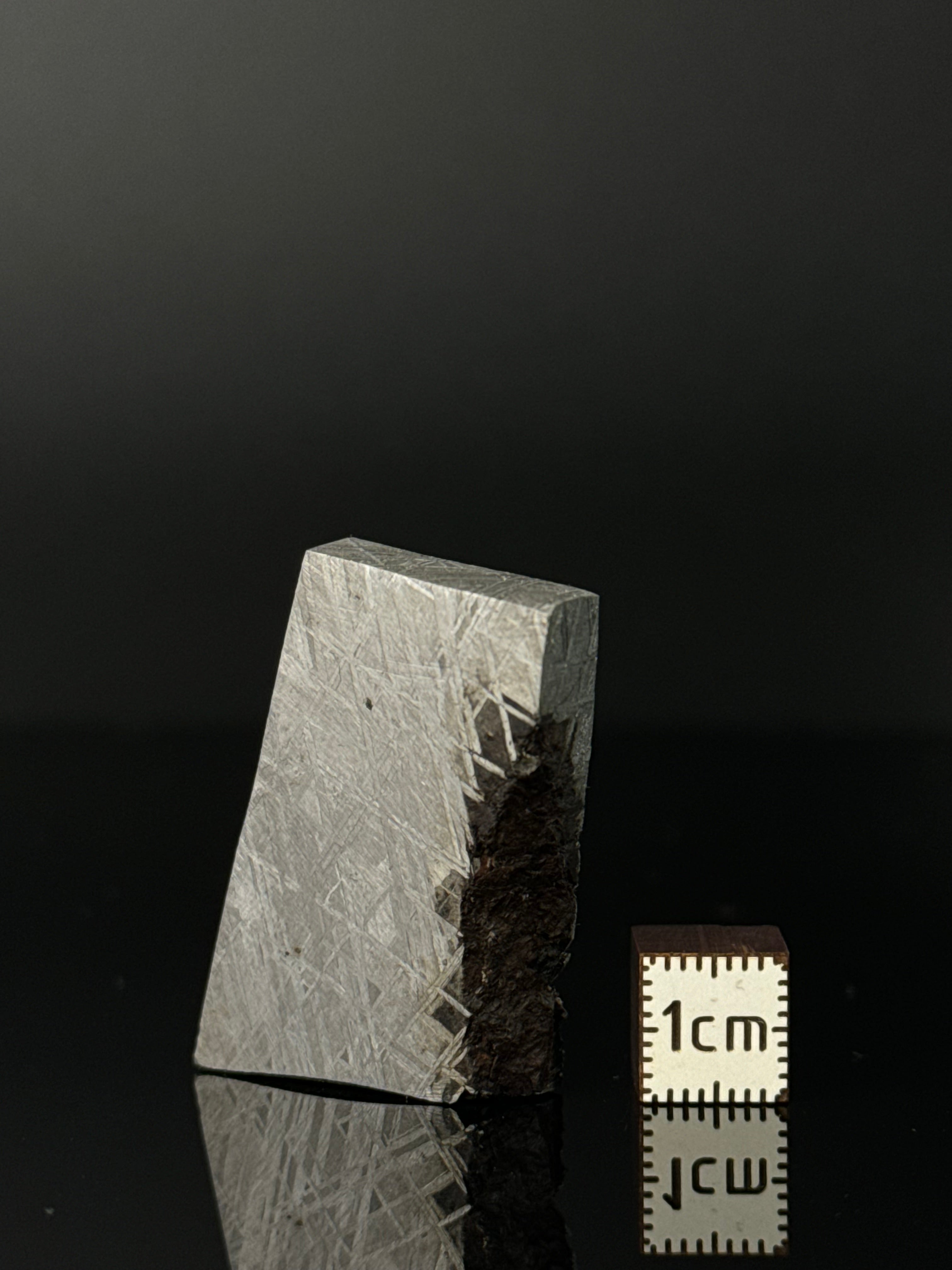 MUONIONALUSTA METEORITE, SWEDEN 42,78 GRAMS.