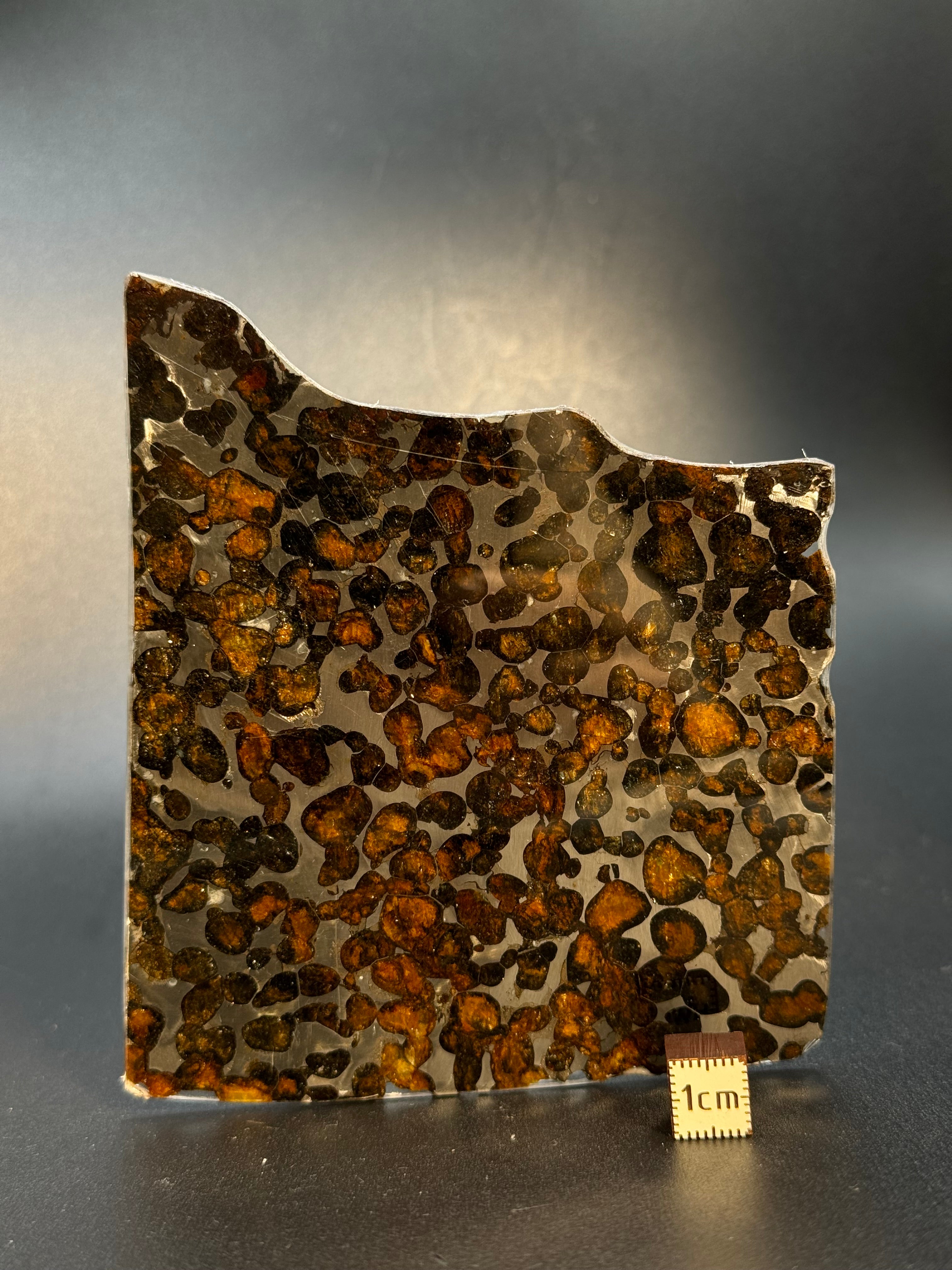 SERICHO METEORITE, KENYA. 66 GRAMS SLICE