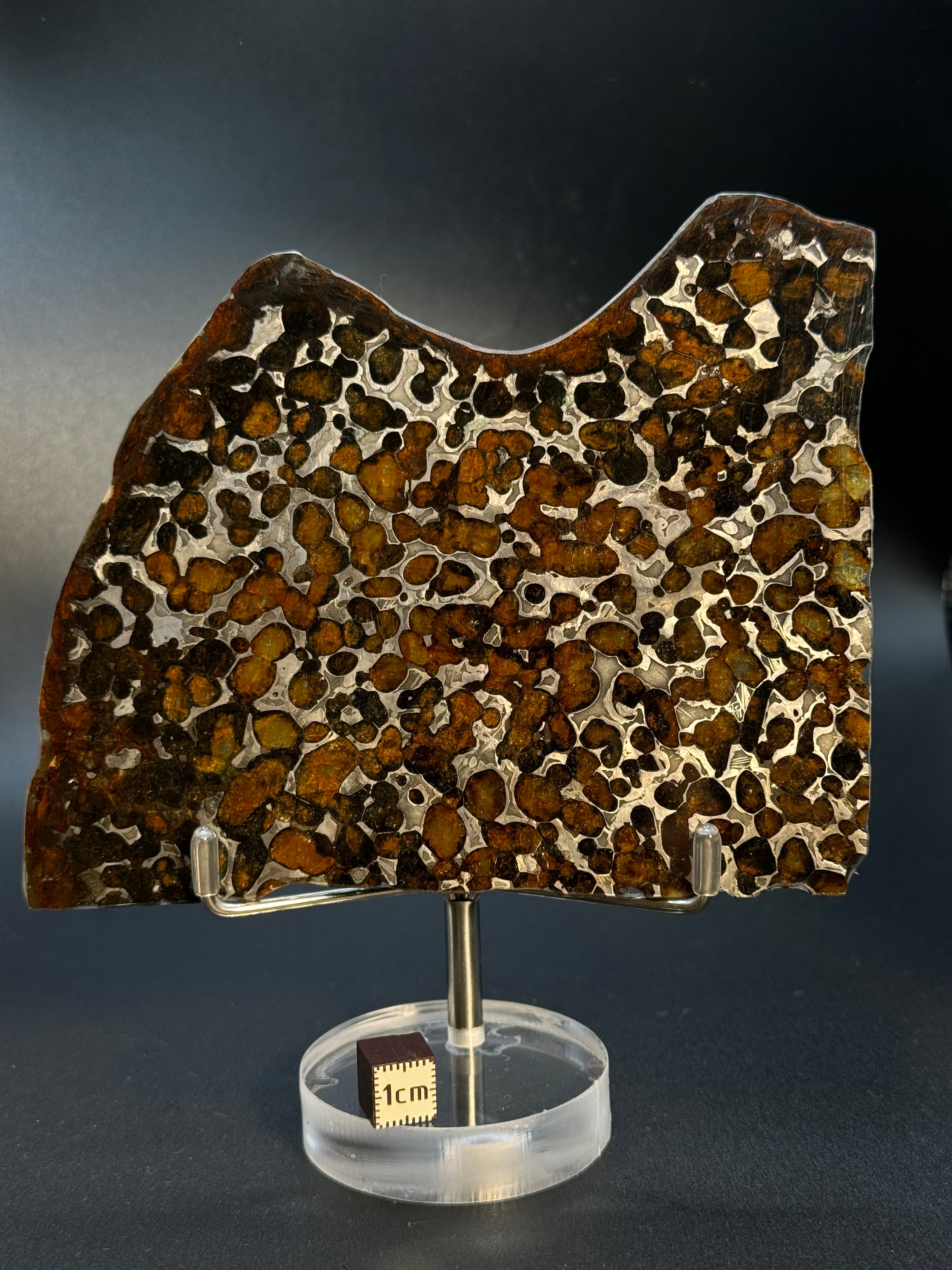 SERICHO METEORITE, KENYA. 81 GRAMS SLICE