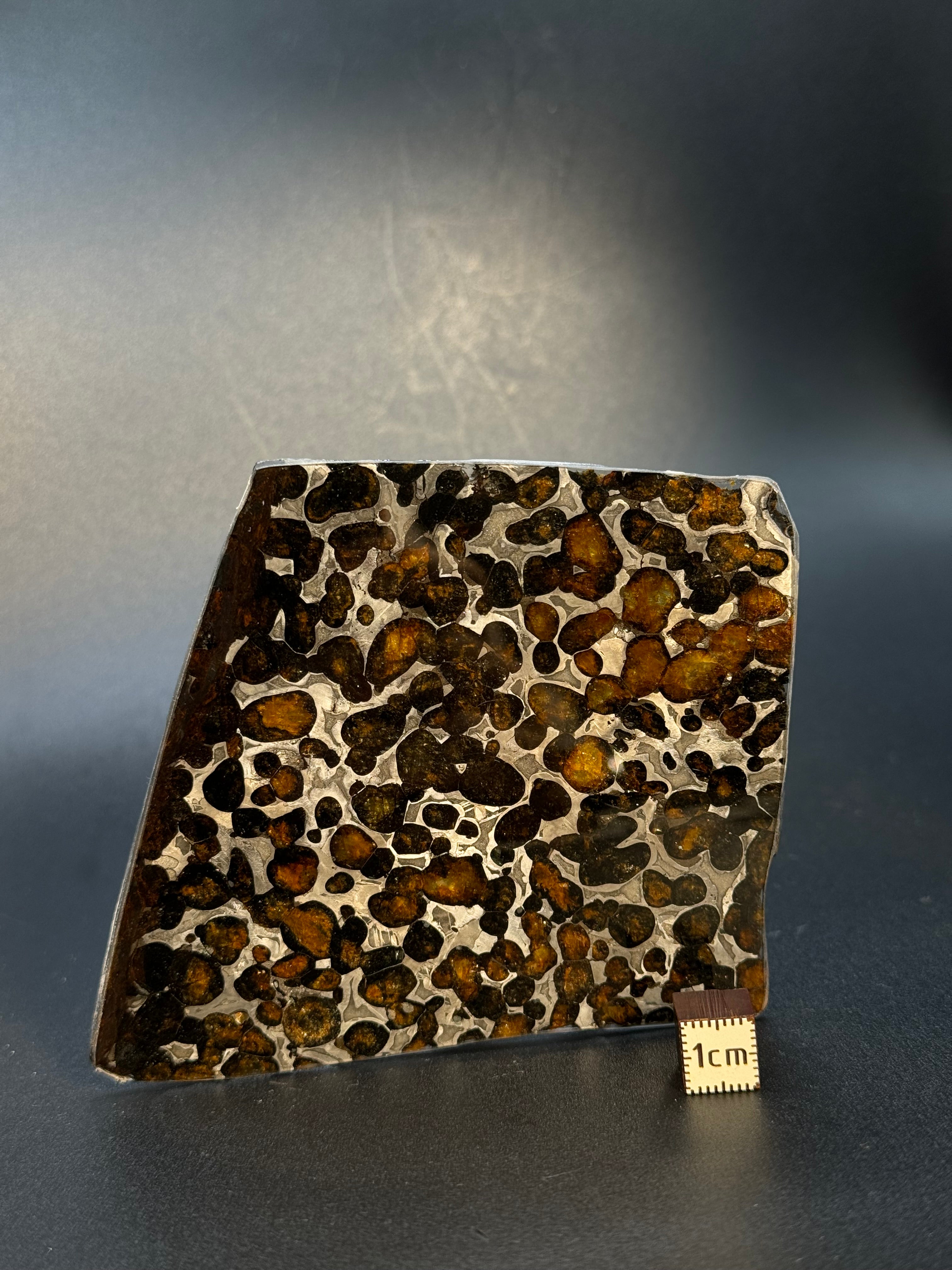 SERICHO METEORITE, KENYA. 58 GRAMS SLICE