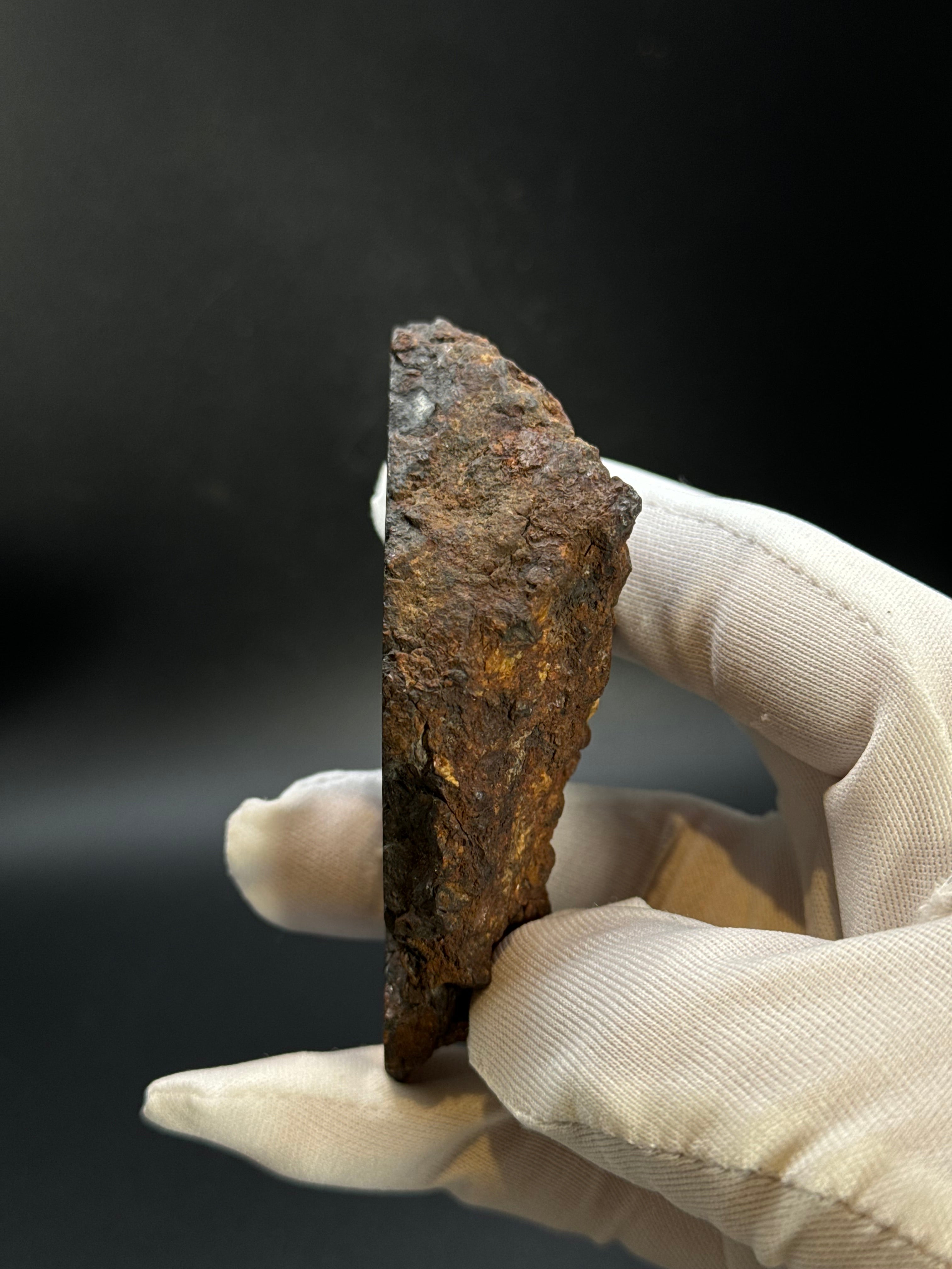 Sericho pallasite meteorite, Kenya. 180,4 grams end-cut.