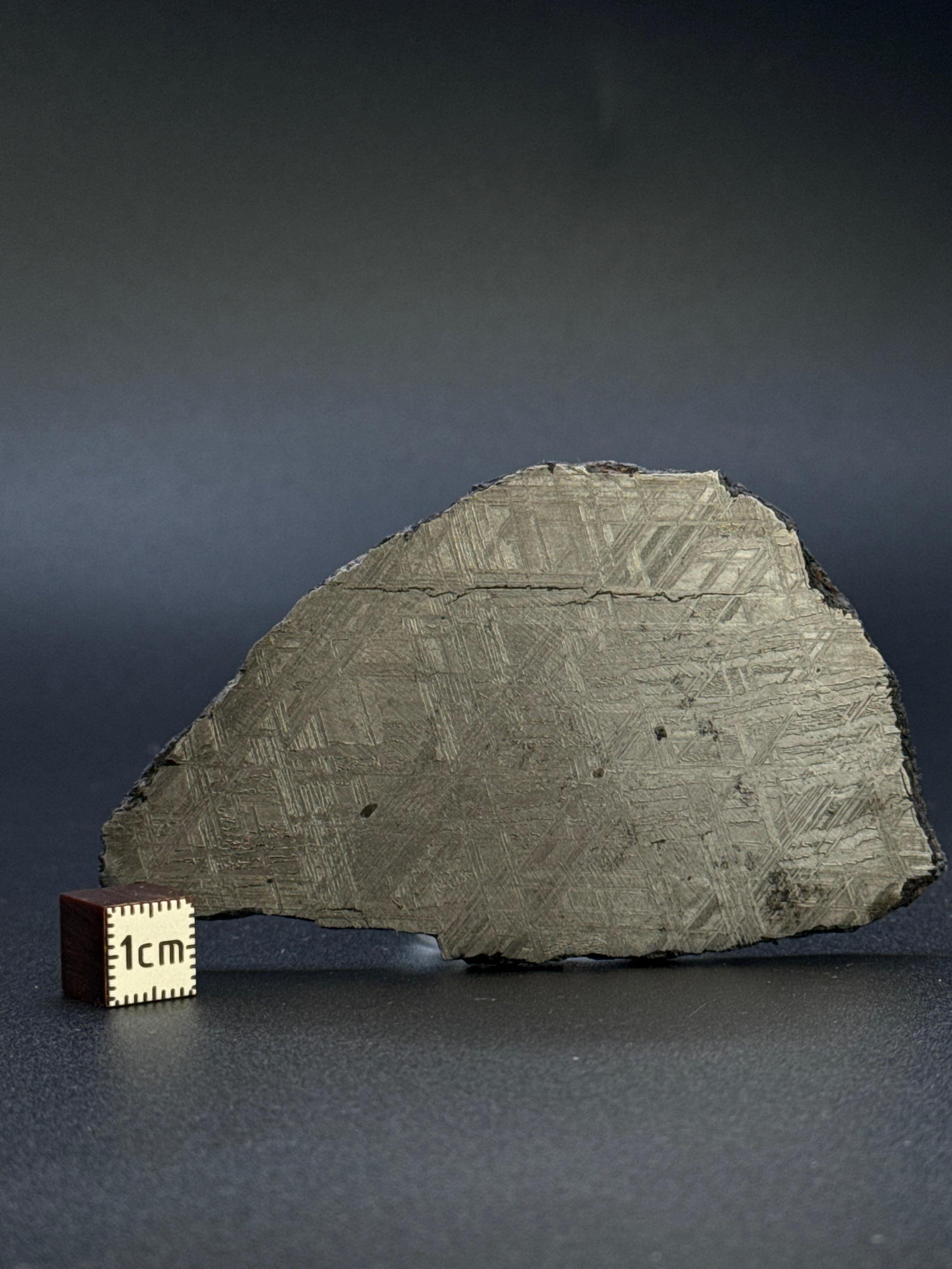 MUONIONALUSTA METEORITE, SWEDEN. 98,30 GRAMS.