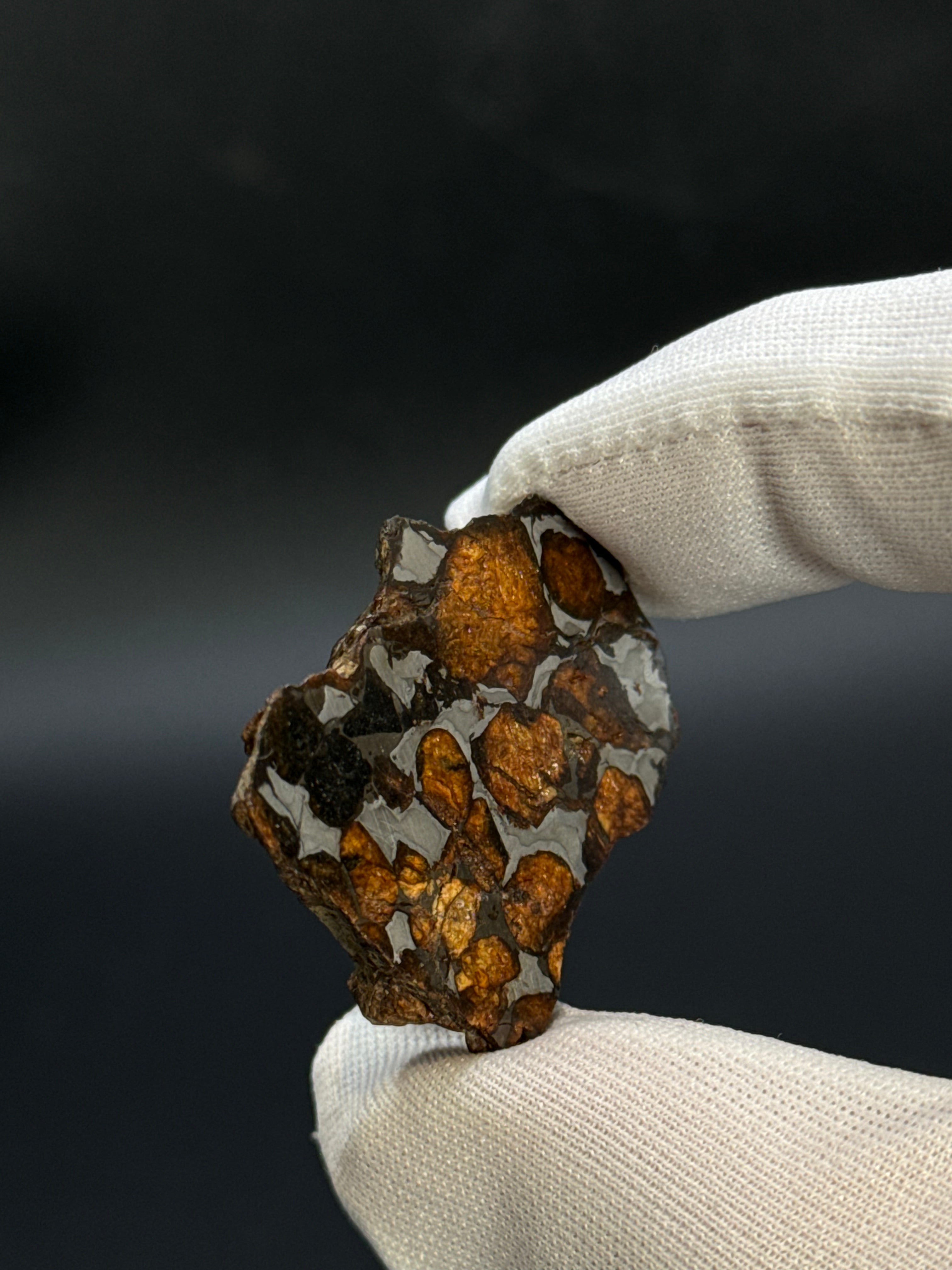 SERICHO PALLASITE METEORITE, KENYA. 15,28 GRAMS END-CUT