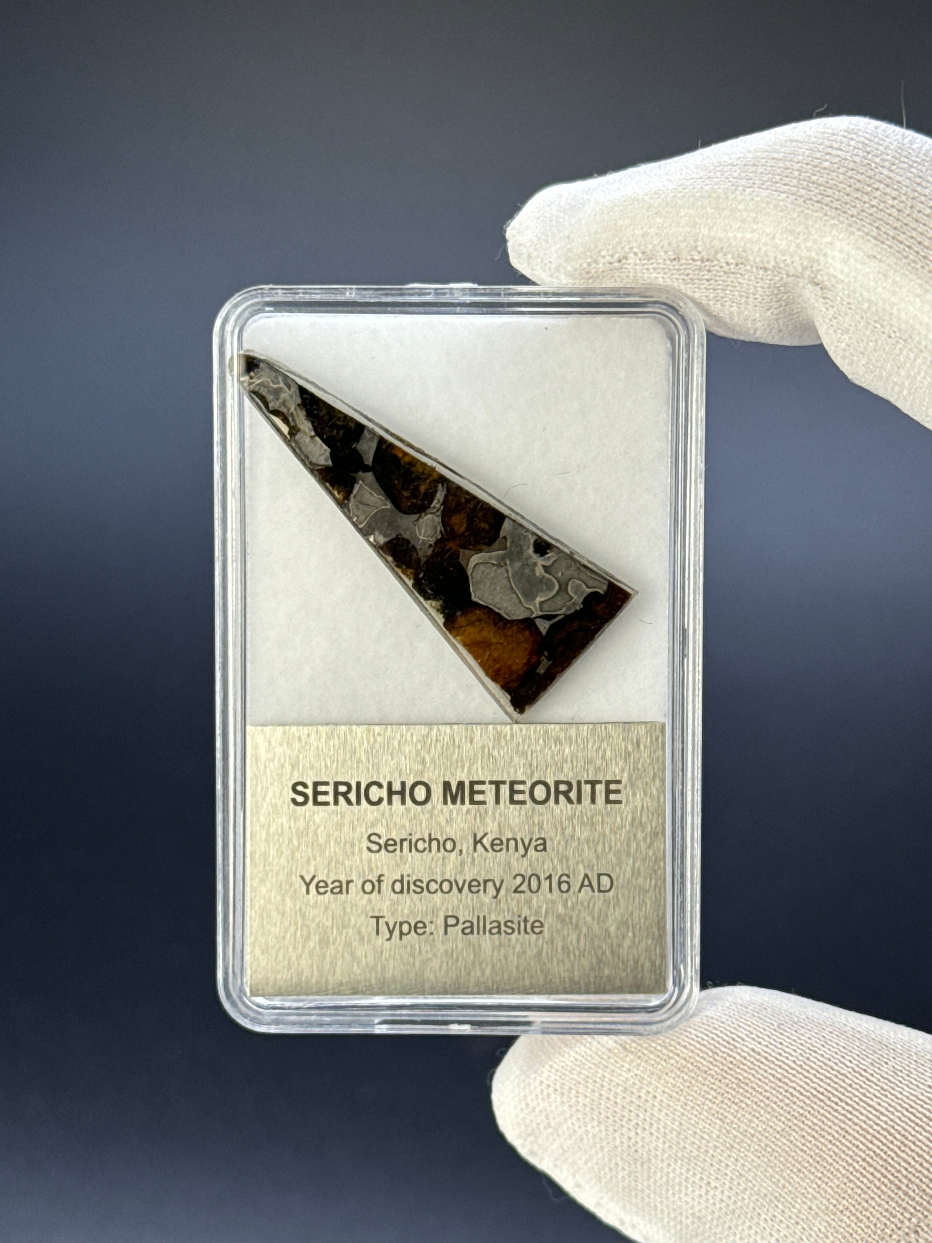 SERICHO METEORITE, KENYA. DISPLAY BOX. 3,9 GRAMS.