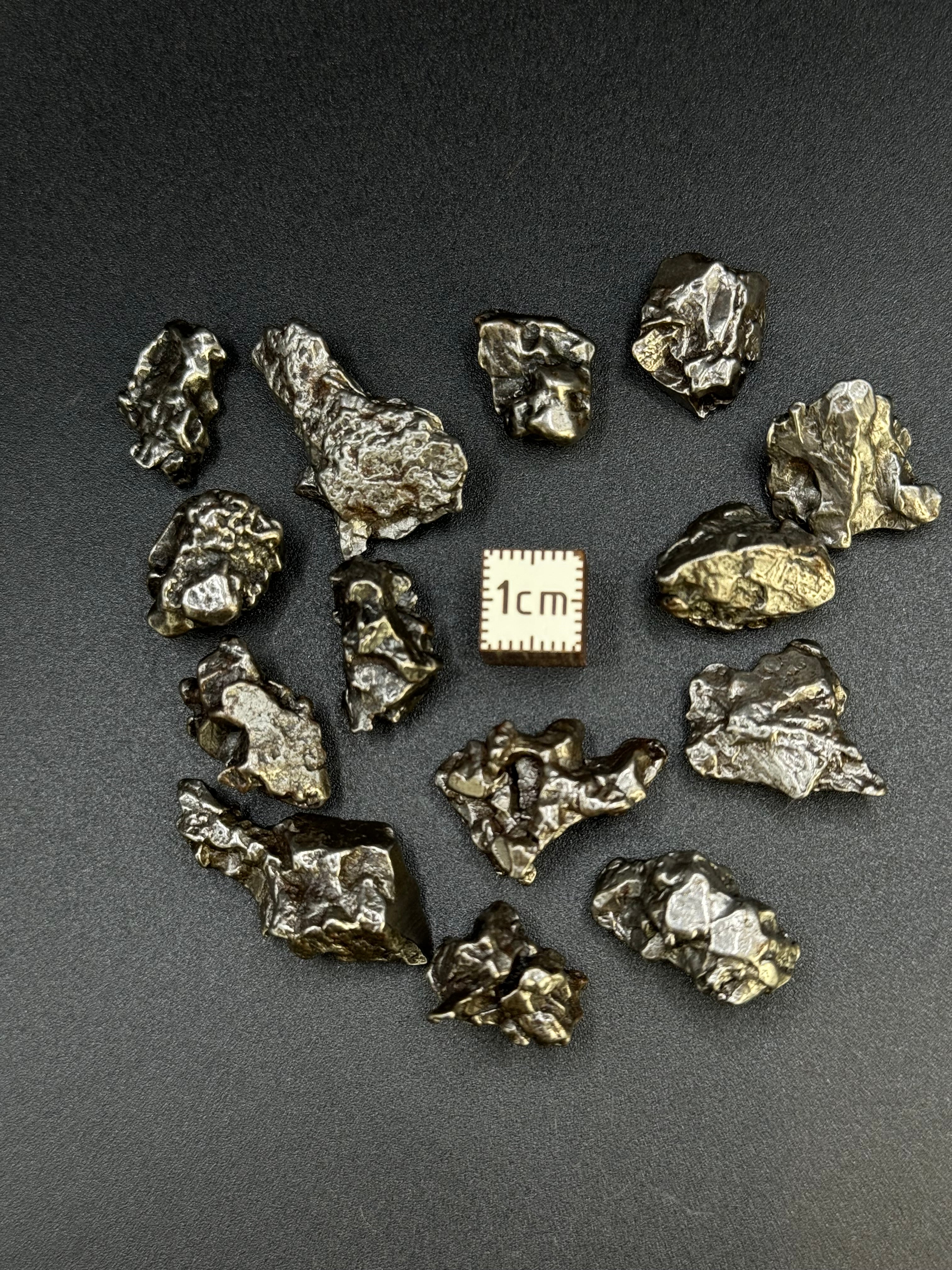 CAMPO DEL CIELO, SOUTH AMERICA. 61,86 GRAMS LOT.