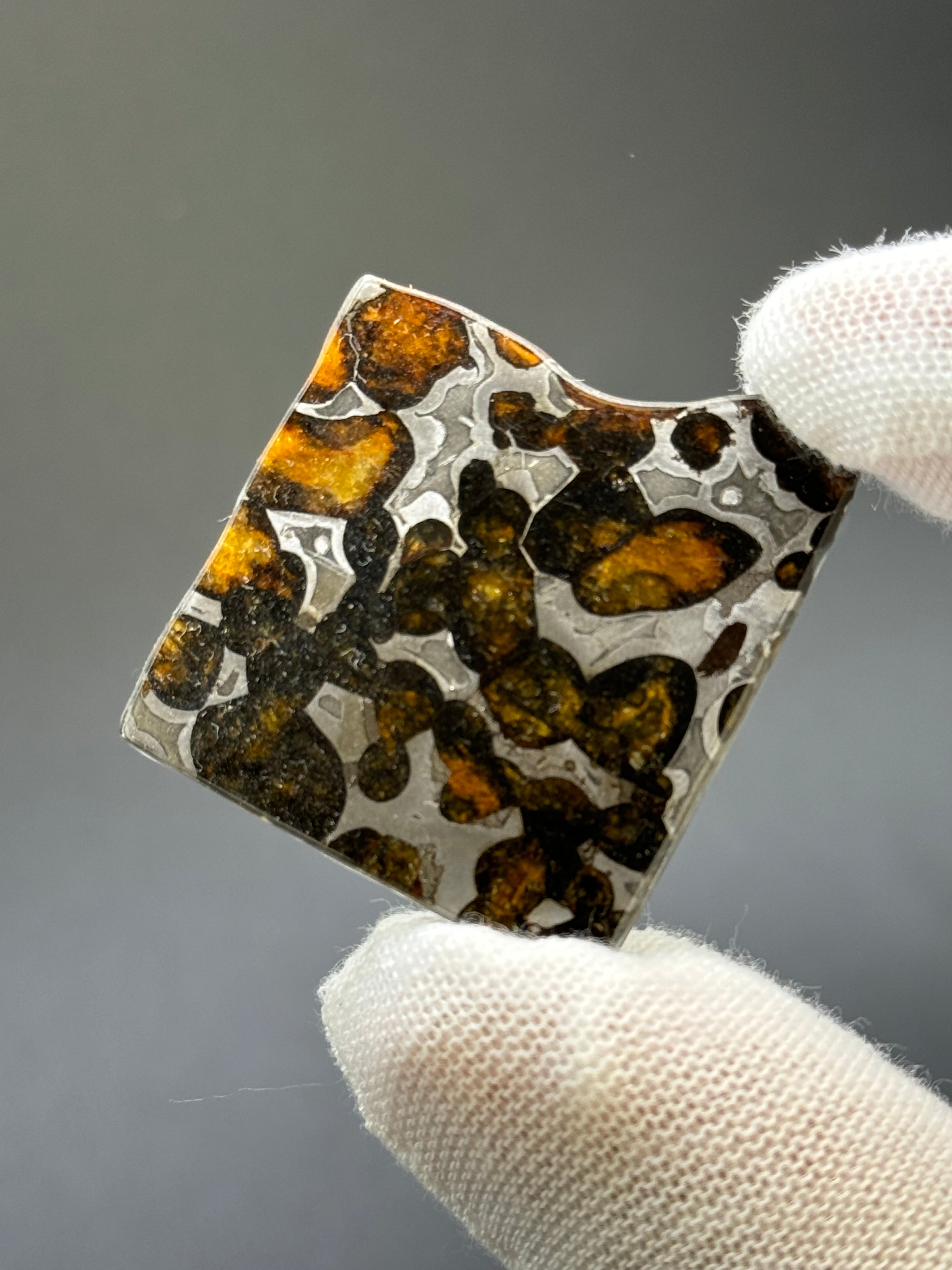 SERICHO METEORITE, KENYA. 7,1 GRAMS SLICE,
