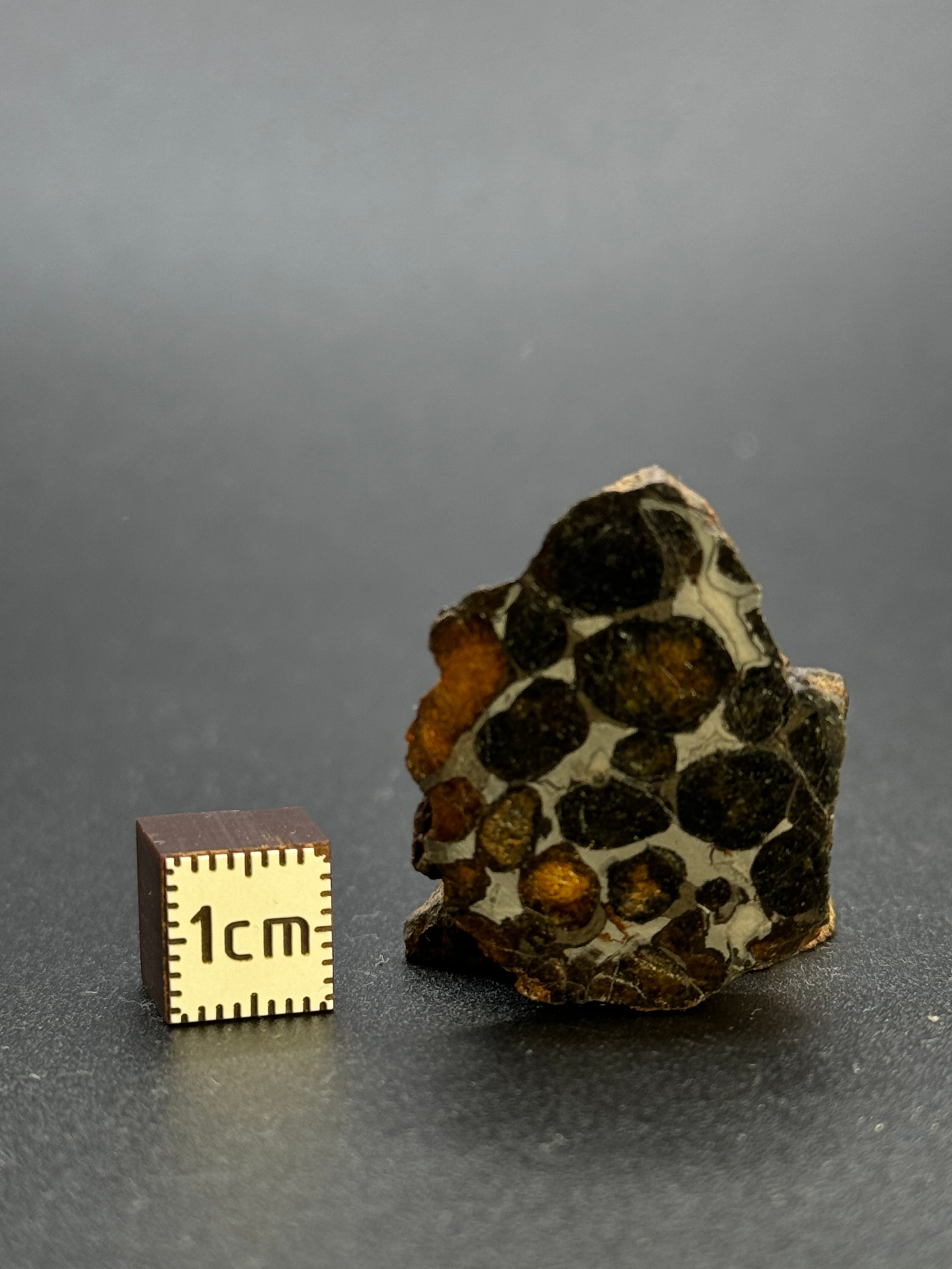 SERICHO PALLASITE METEORITE, KENYA. 12,21 GRAMS END-CUT