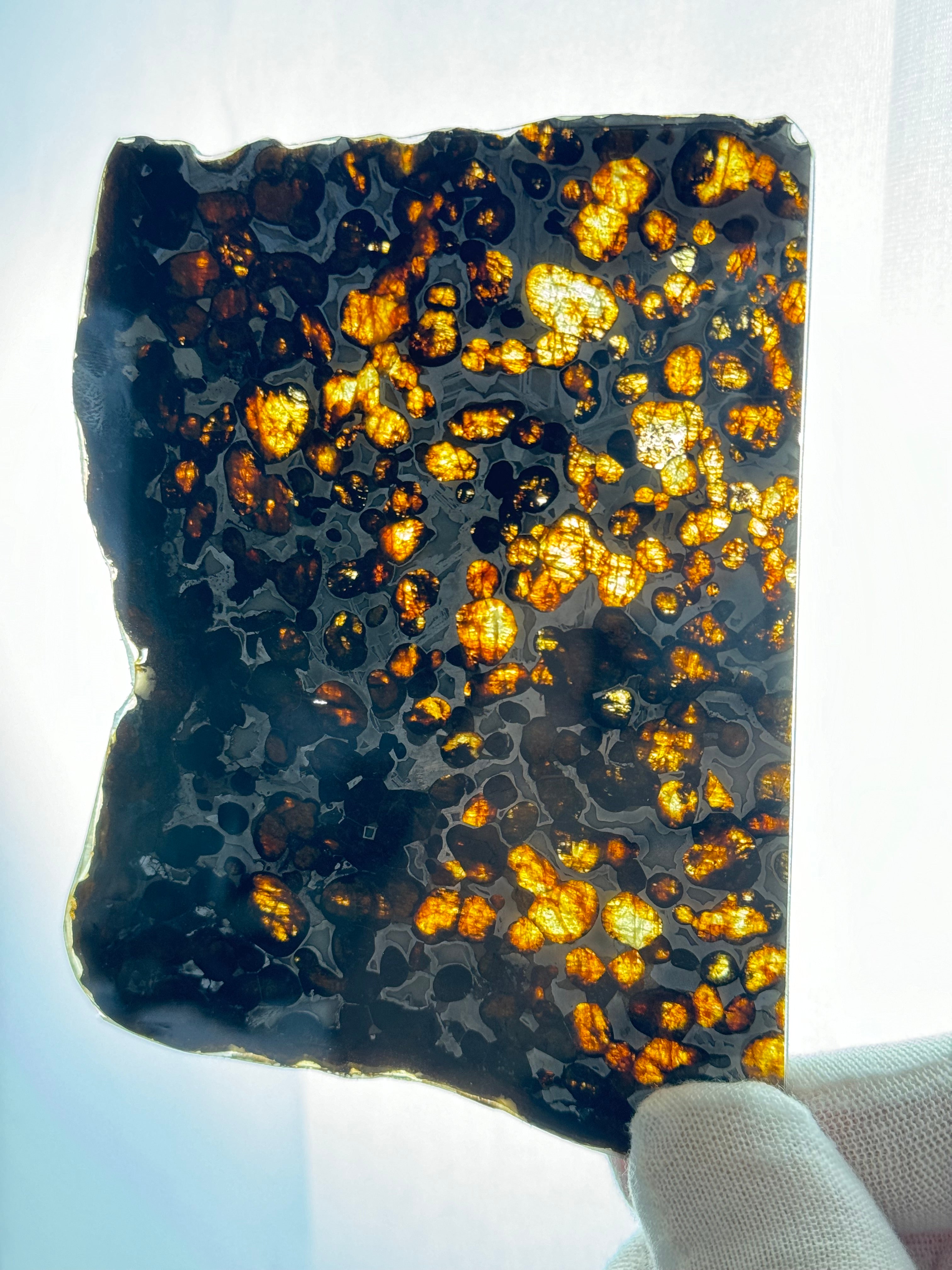 SERICHO METEORITE, KENYA. 62,07 GRAMS SLICE