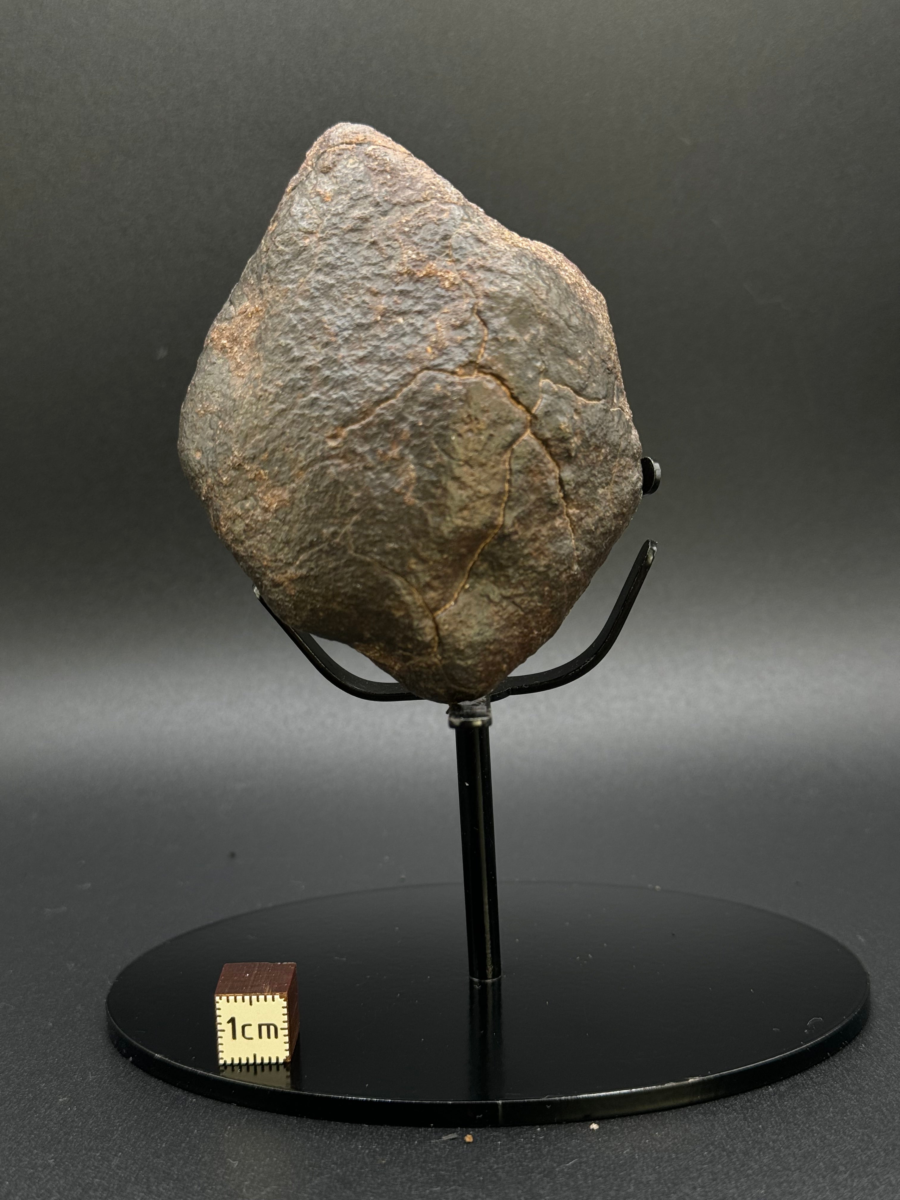 CHONDRITE METEORITE, NORTH WEST AFRICA. 352 GRAMS.