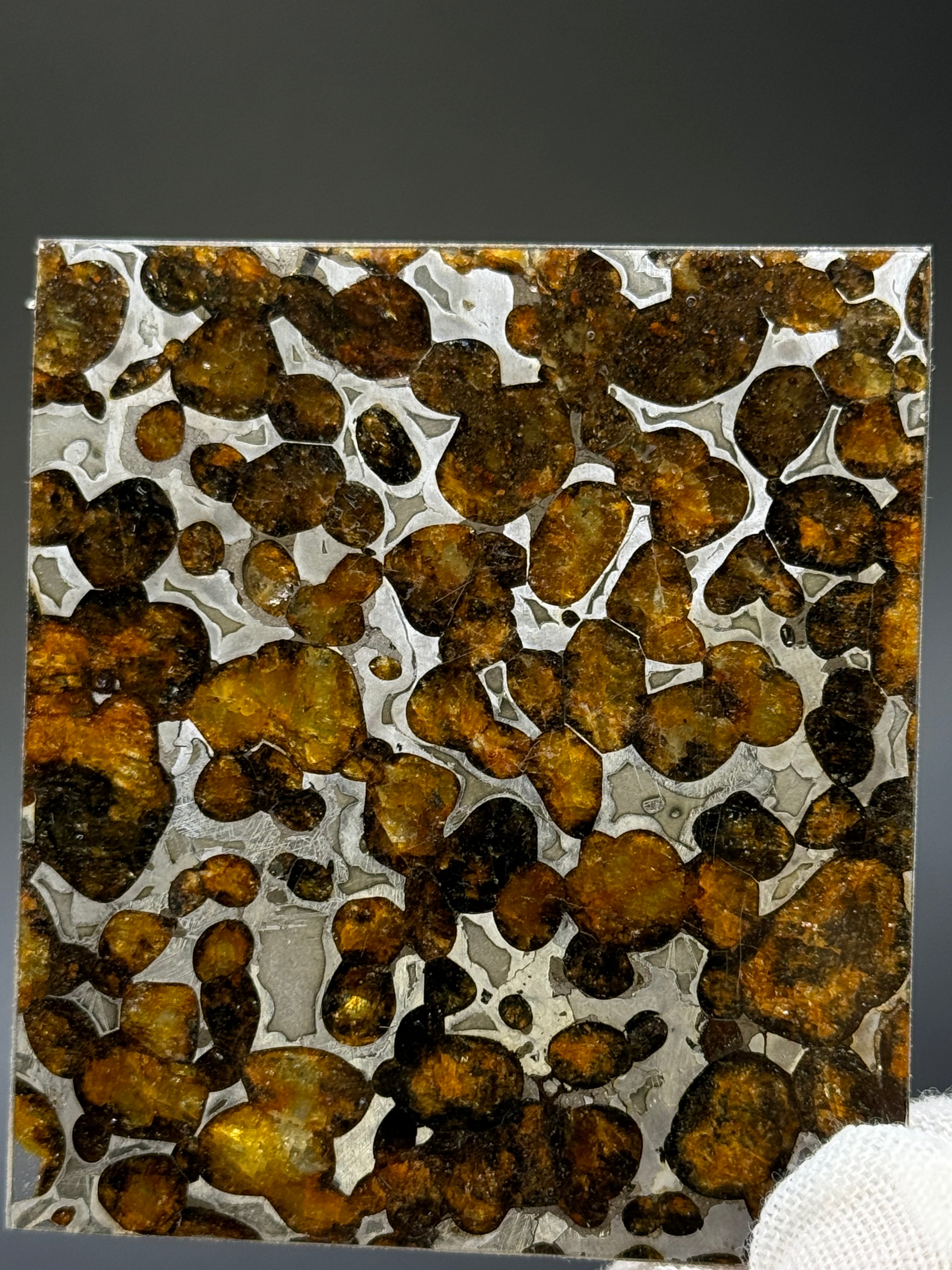 SERICHO METEORITE, KENYA. 22,24 GRAMS SLICE