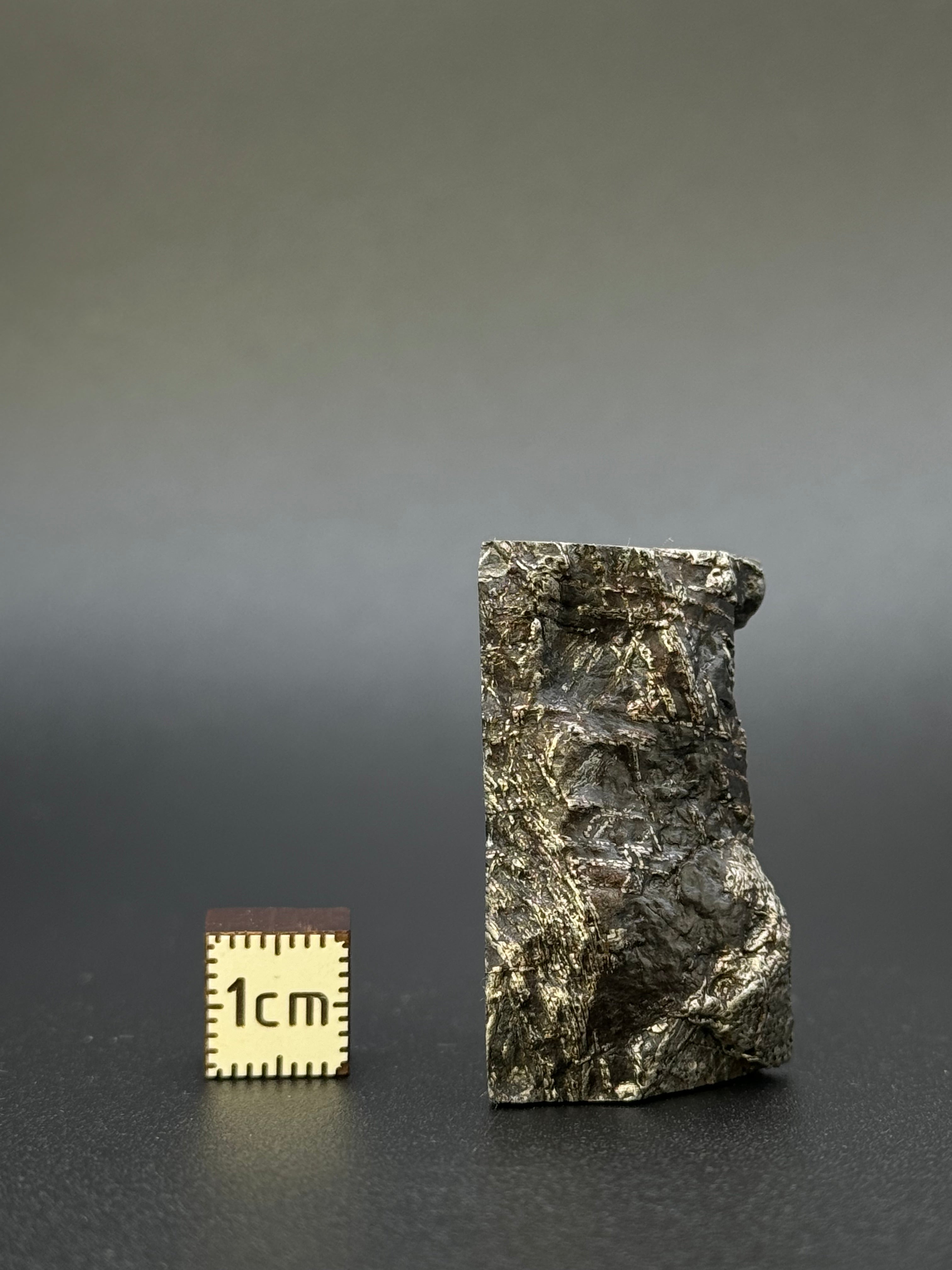 MUONIONALUSTA METEORITE, SWEDEN. 82,04 GRAMS CHUNK.