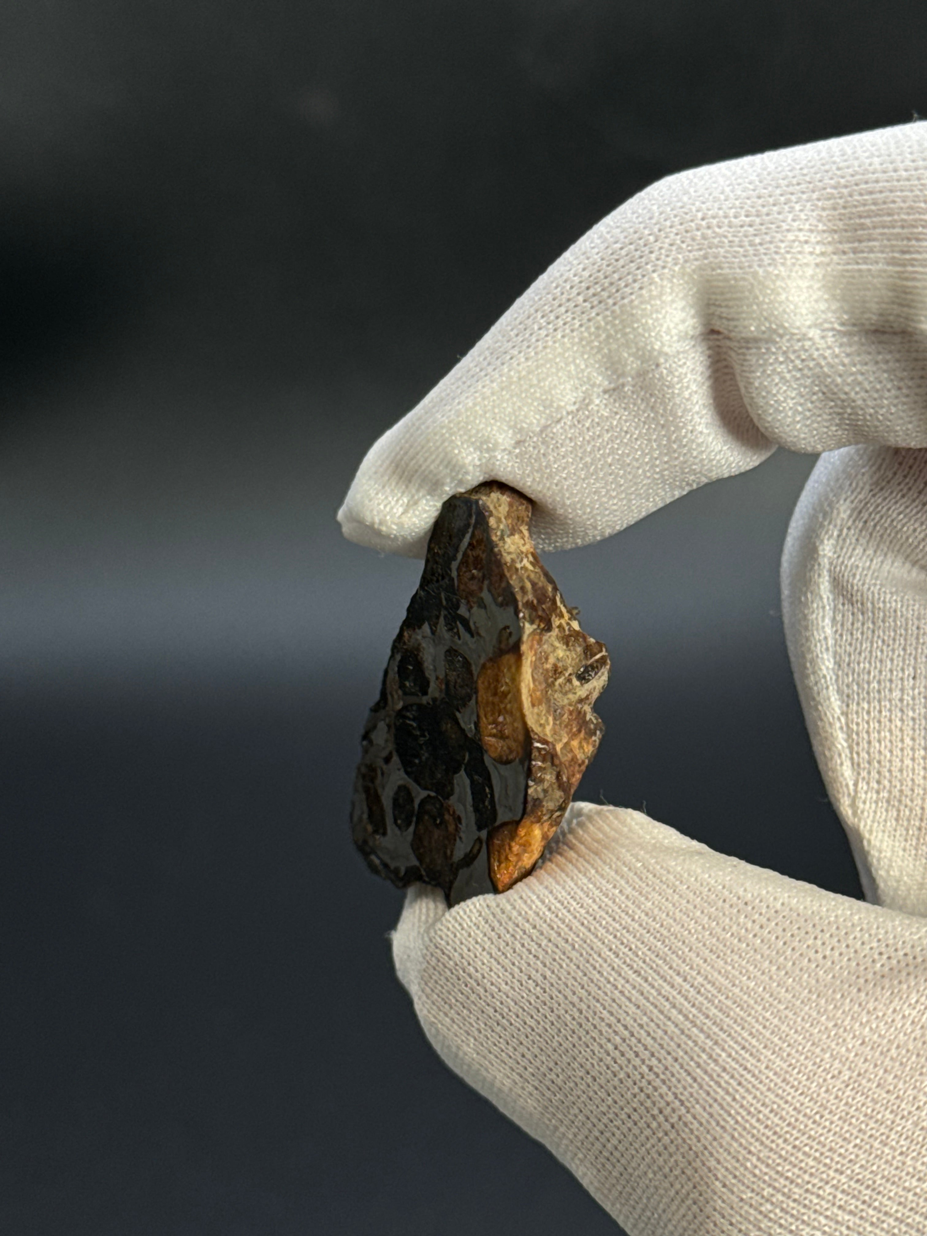 SERICHO PALLASITE METEORITE, KENYA. 12,03 GRAMS END-CUT