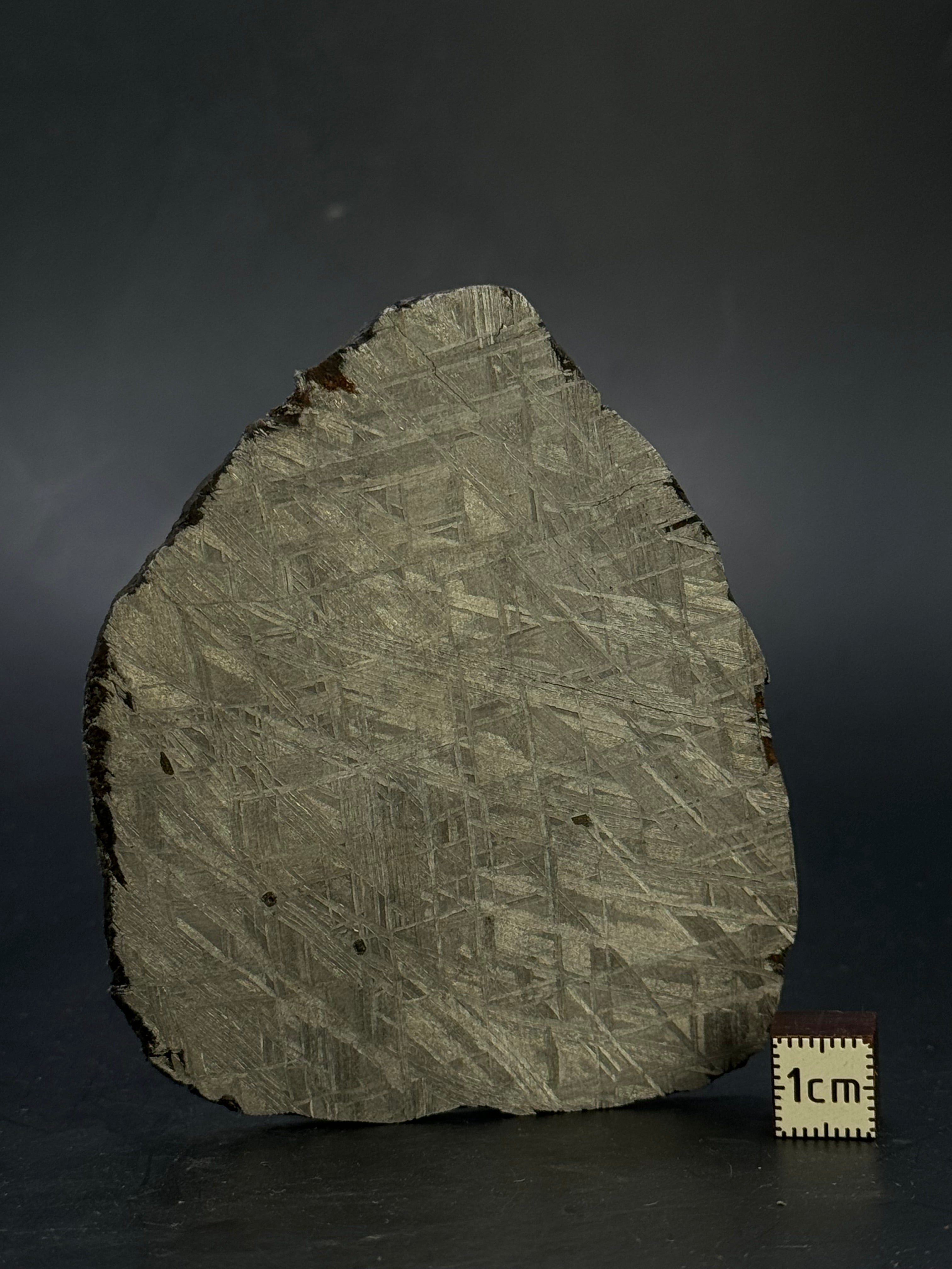 MUONIONALUSTA METEORITE, SWEDEN. 117,13 GRAMS.