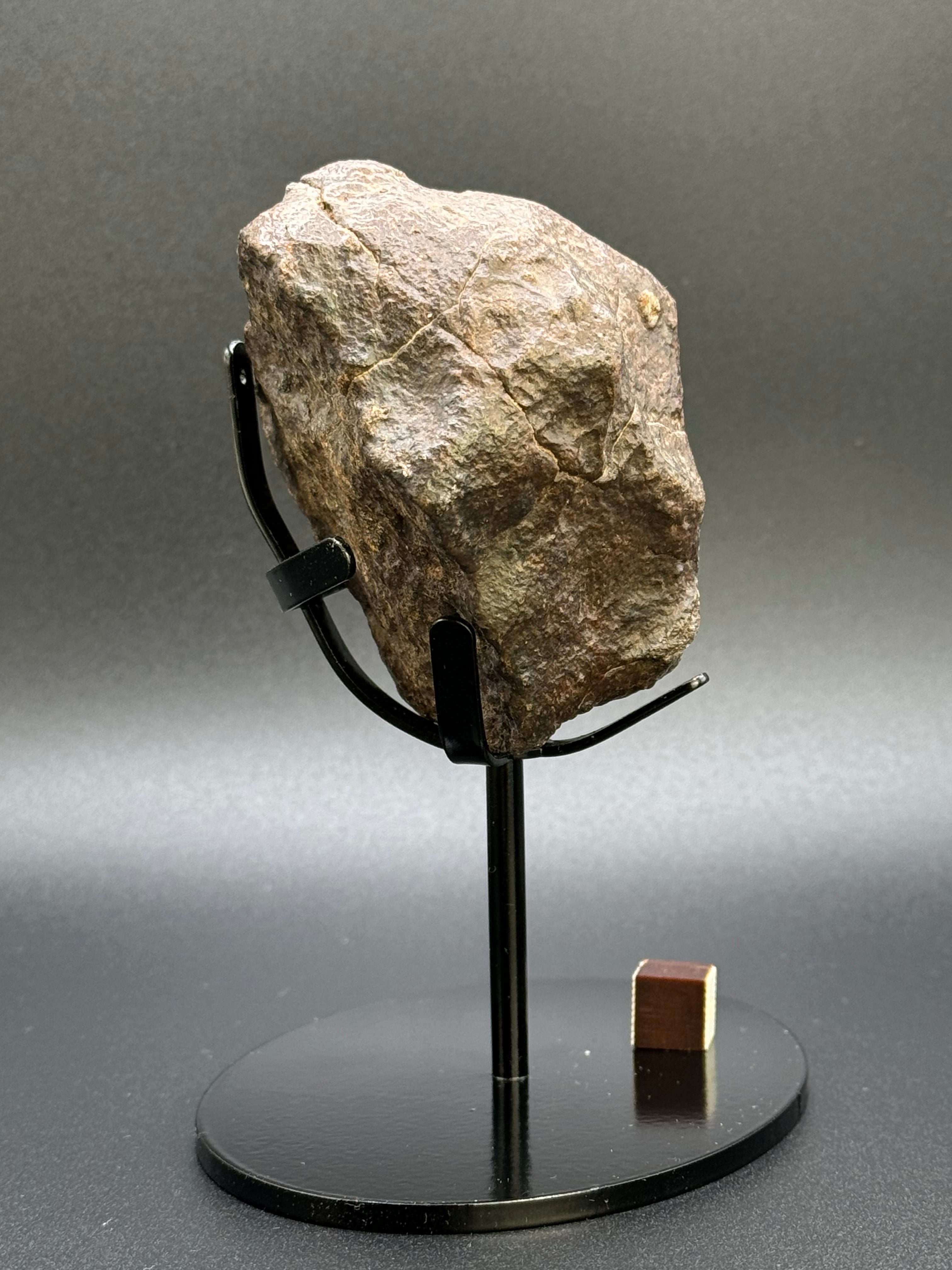 CHONDRITE METEORITE, NORTH WEST AFRICA. 368 GRAMS.