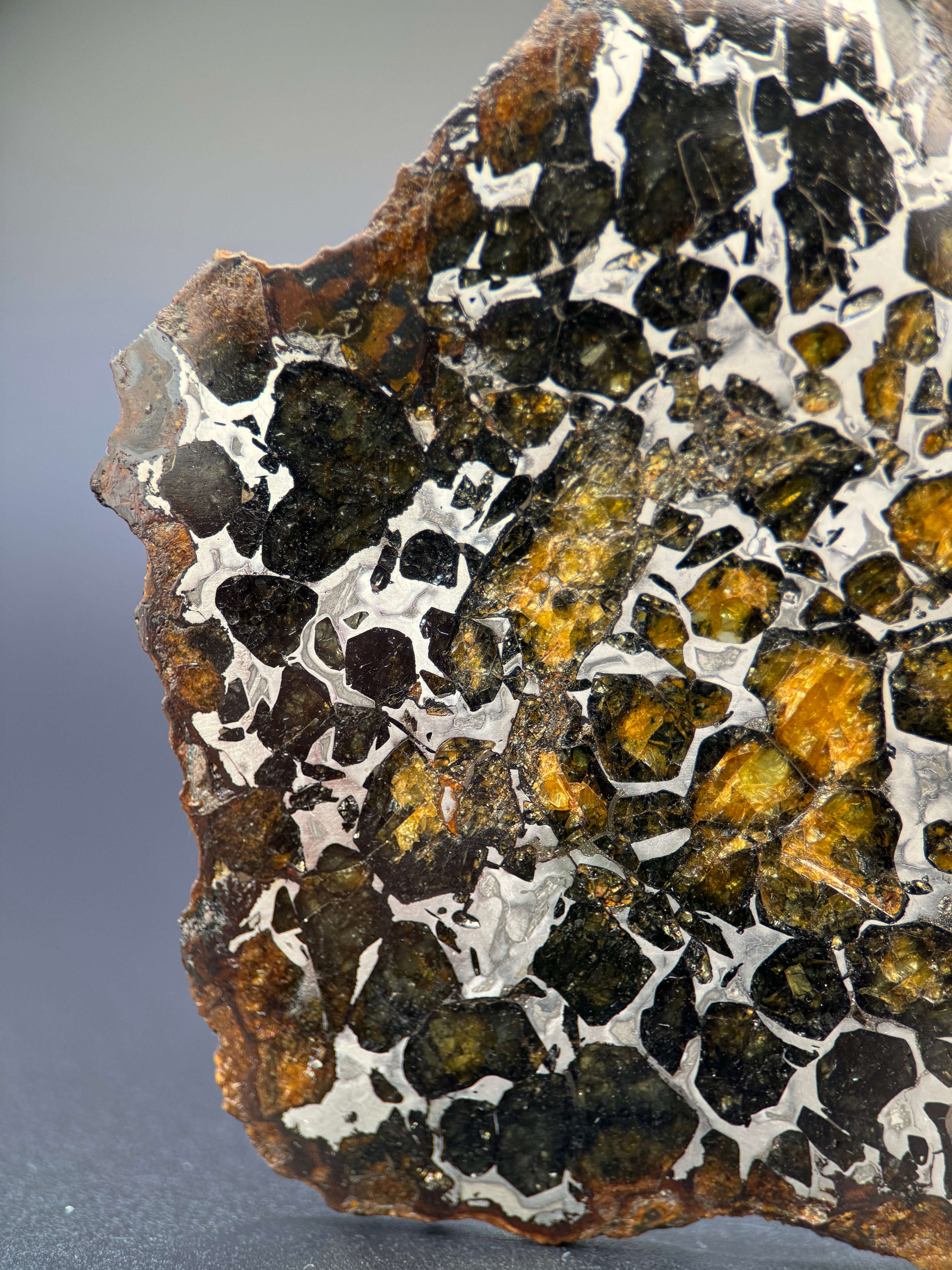 SEYMCHAN METEORITE, MAGADAN REGION, RUSSIA. 36,6 GRAMS SLICE.