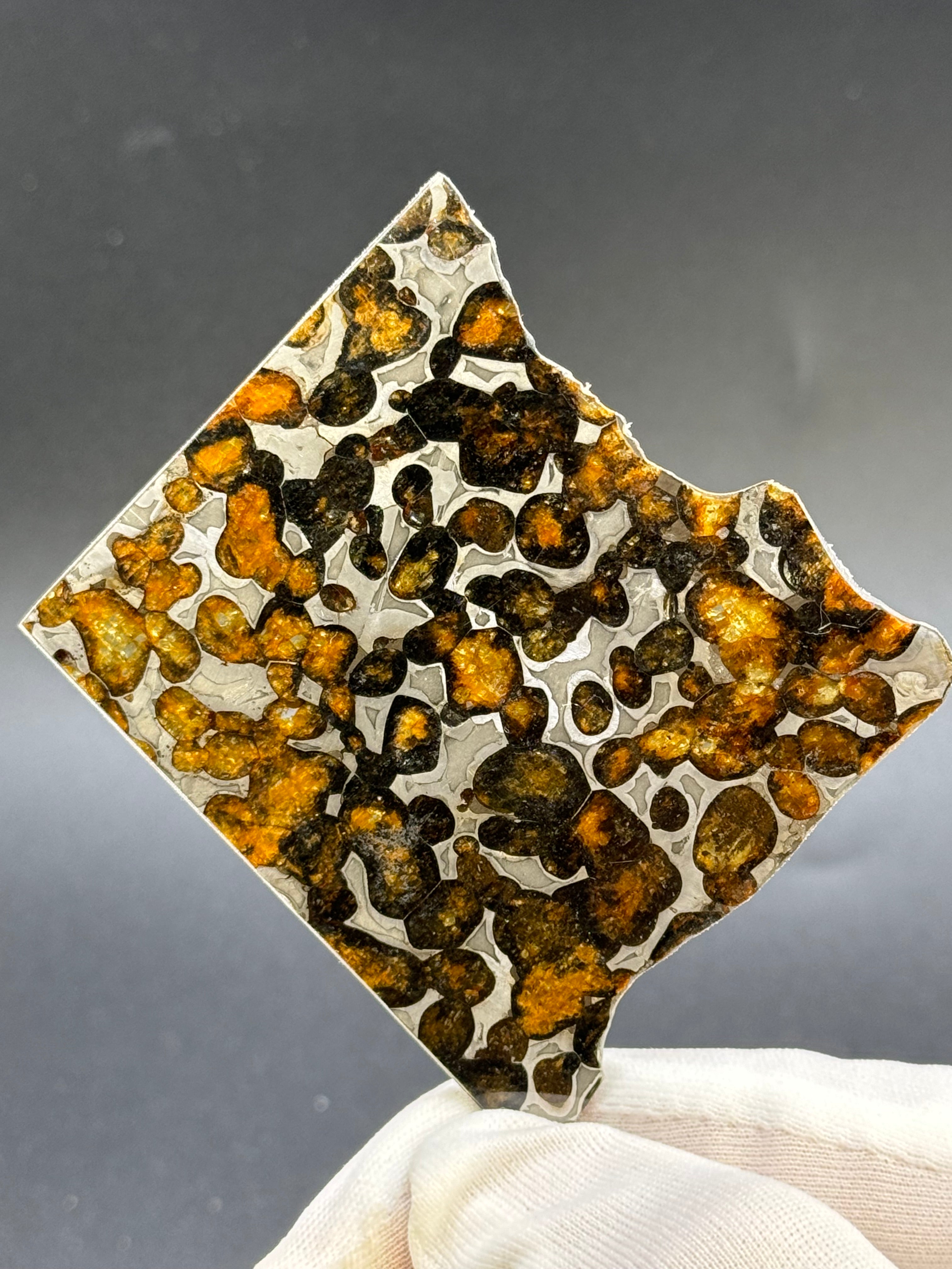 SERICHO METEORITE, KENYA. 20,8 GRAMS SLICE