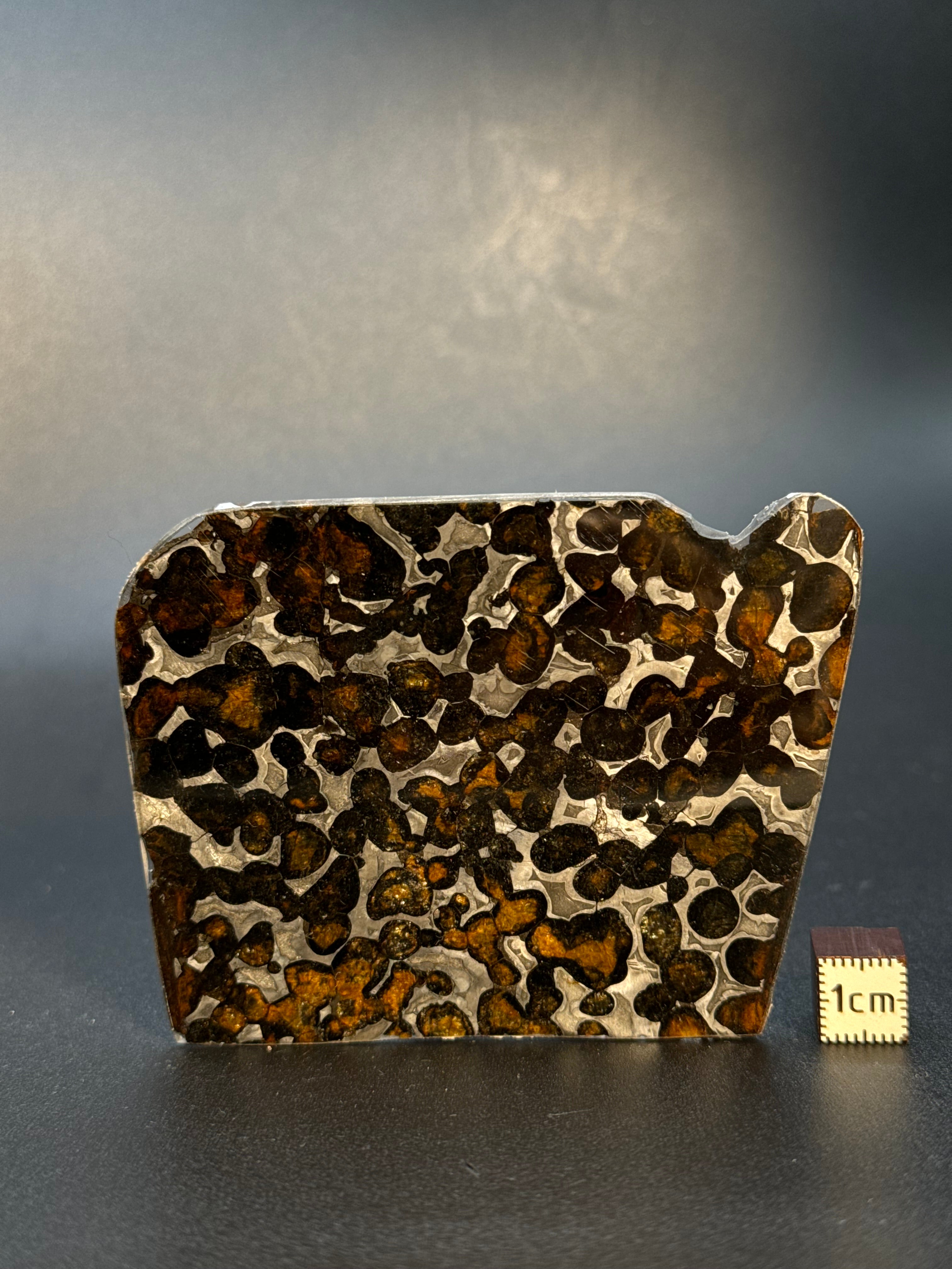 SERICHO METEORITE, KENYA. 32 GRAMS SLICE