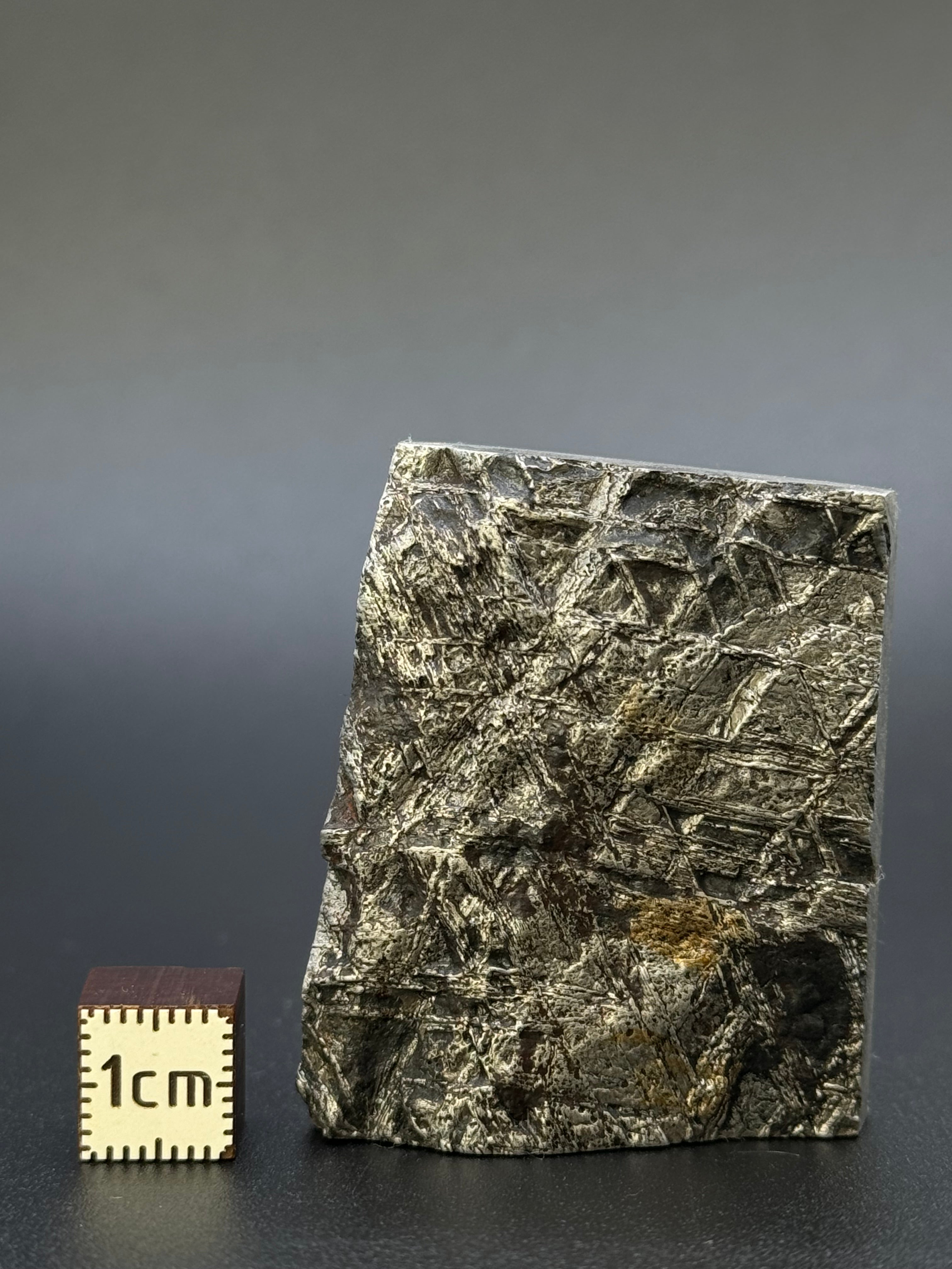 MUONIONALUSTA METEORITE, SWEDEN. 132,8 GRAMS END-CUT.