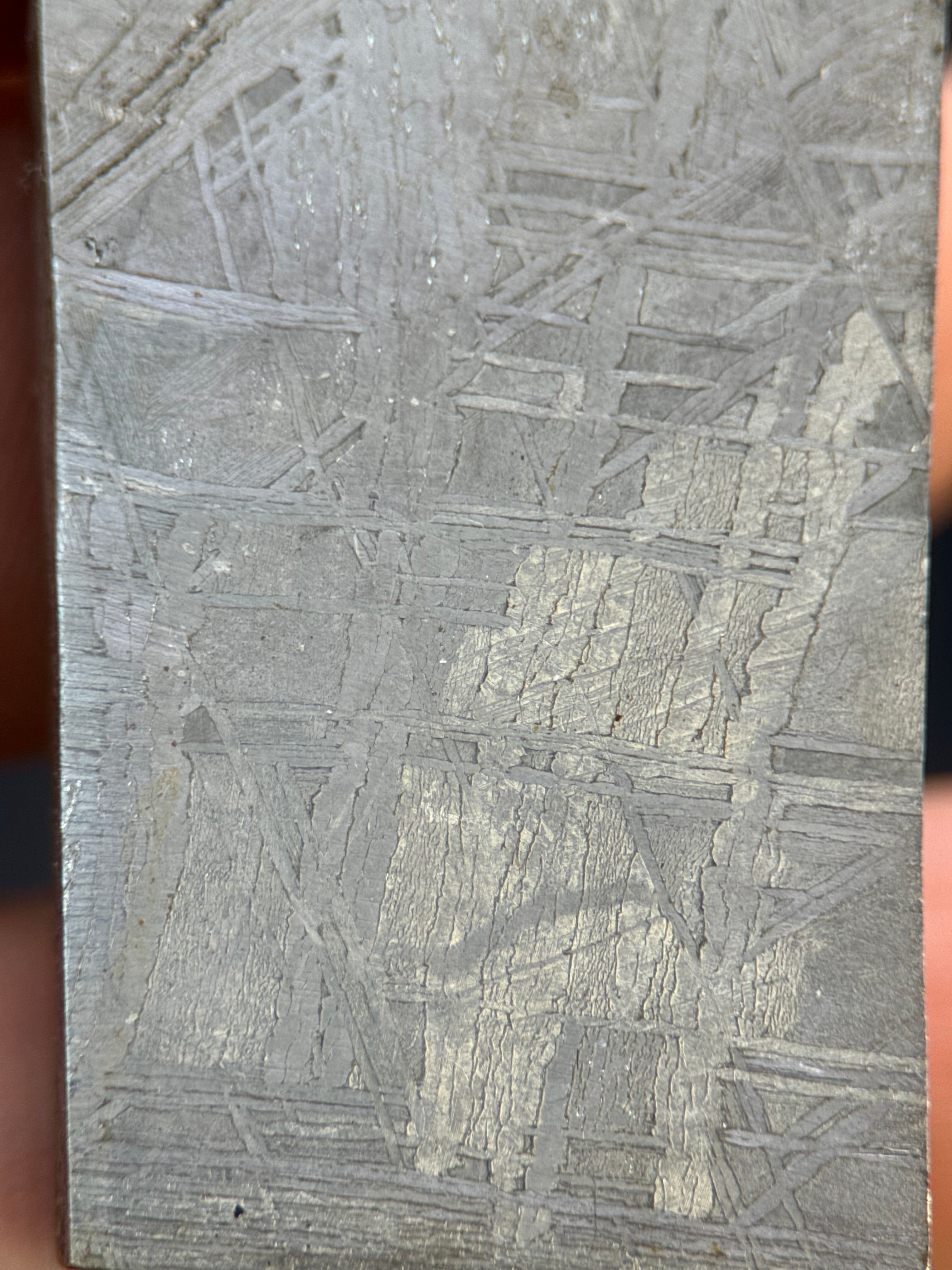 MUONIONALUSTA METEORITE, SWEDEN. 78,68 GRAMS END-CUT