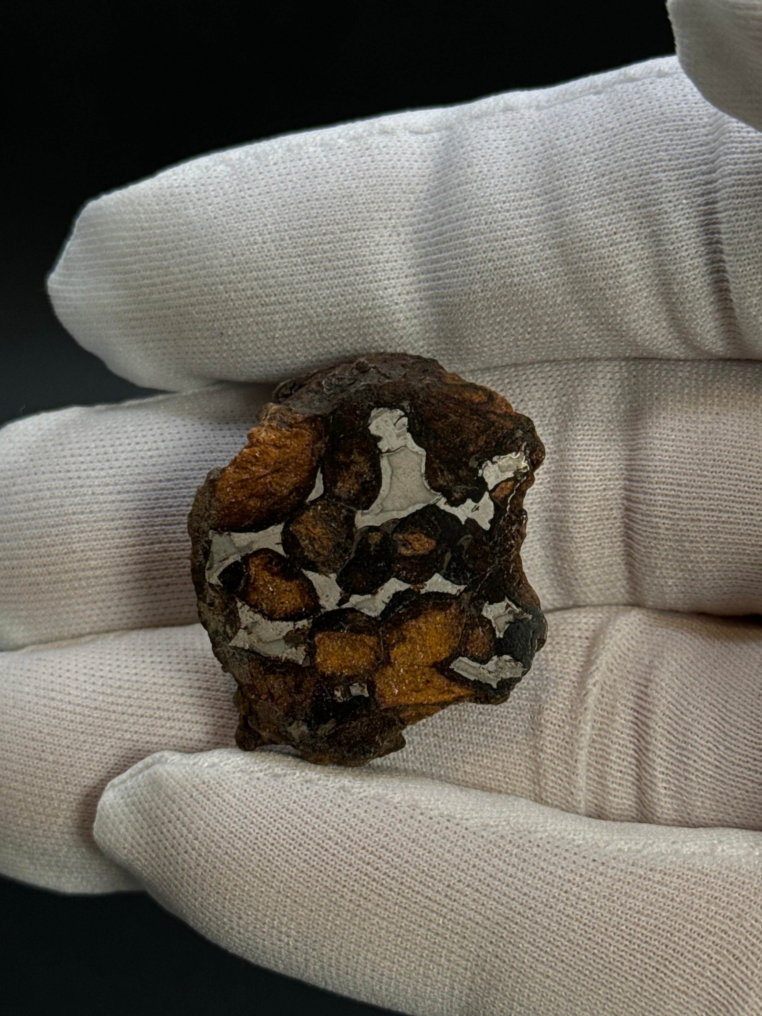 SERICHO PALLASITE METEORITE, KENYA. 17,83 GRAMS END-CUT