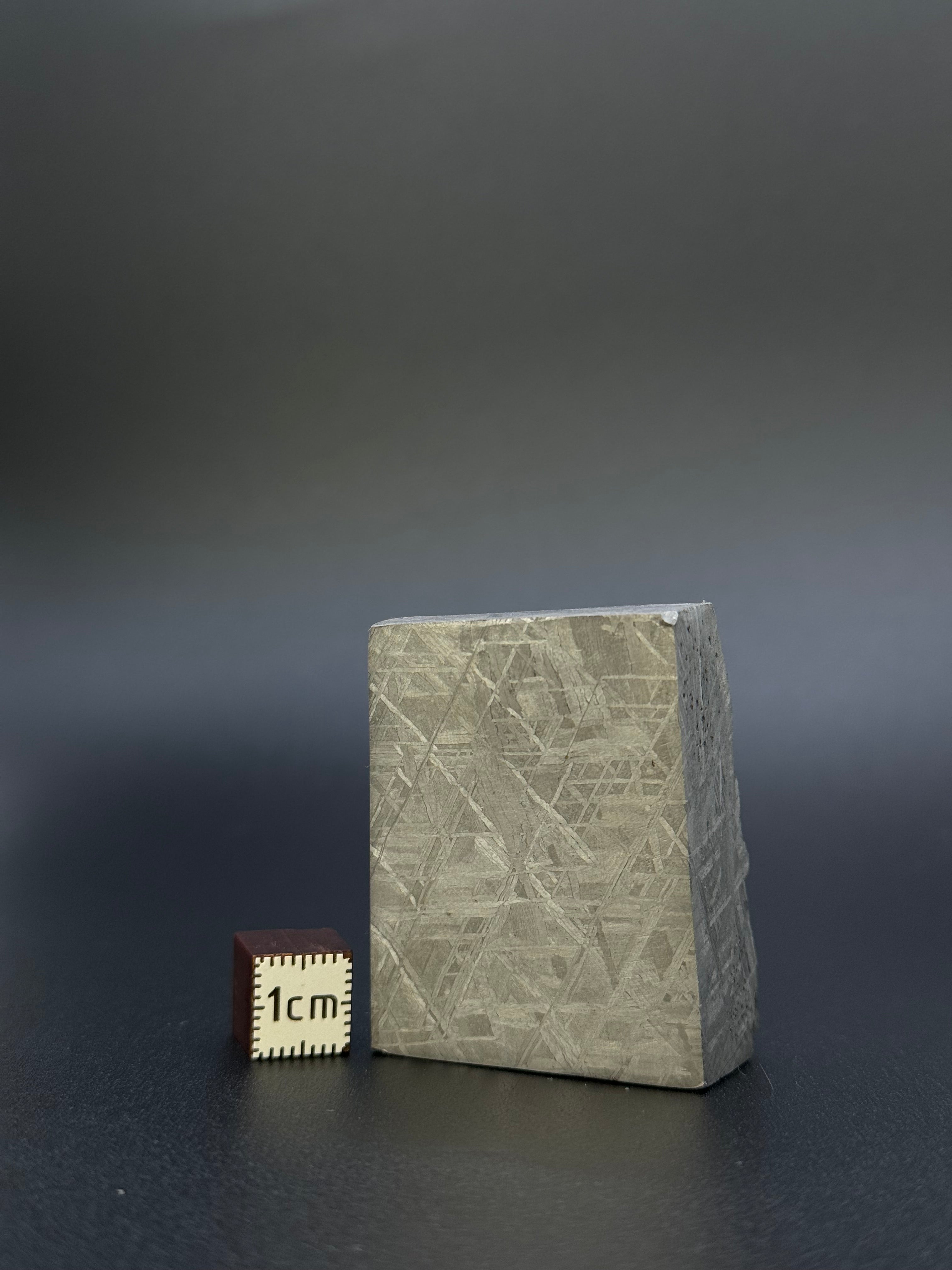 MUONIONALUSTA METEORITE, SWEDEN. 132,8 GRAMS END-CUT.