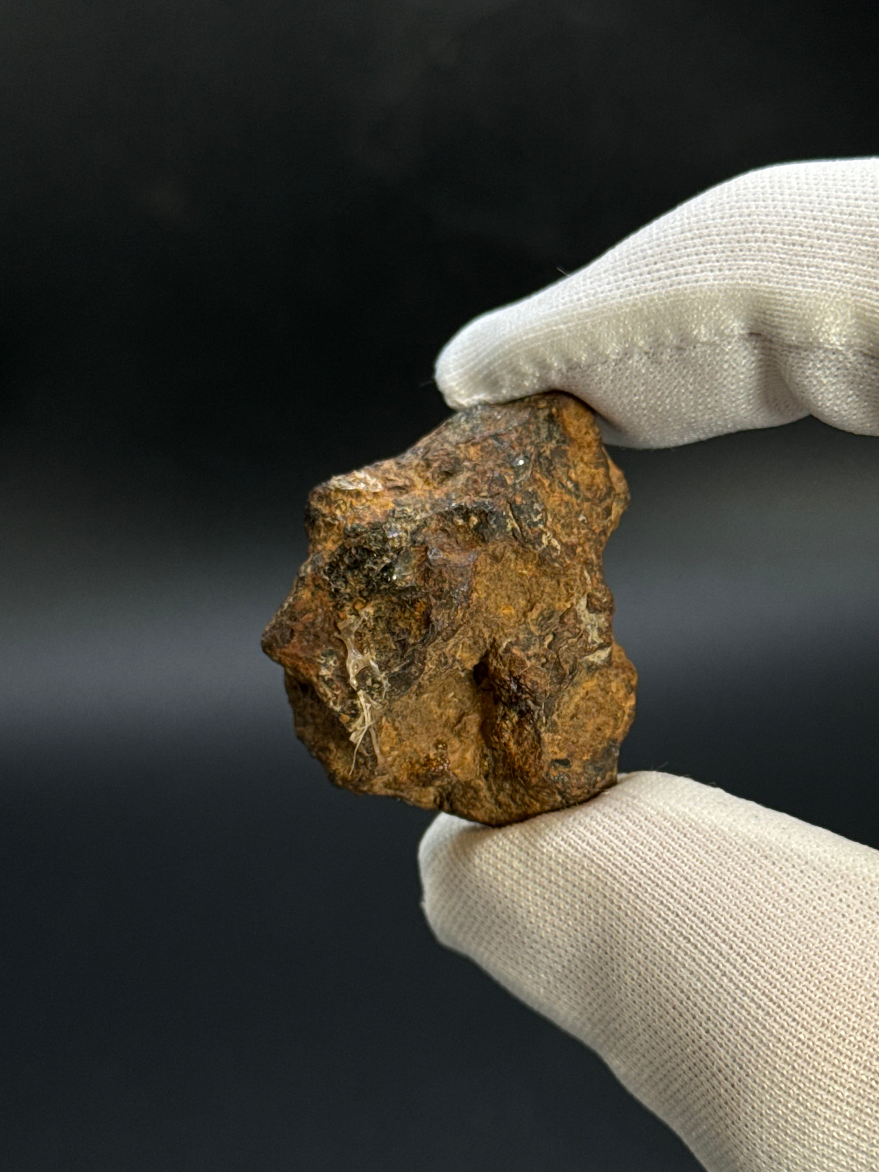 SERICHO PALLASITE METEORITE, KENYA. 21,79 GRAMS END-CUT