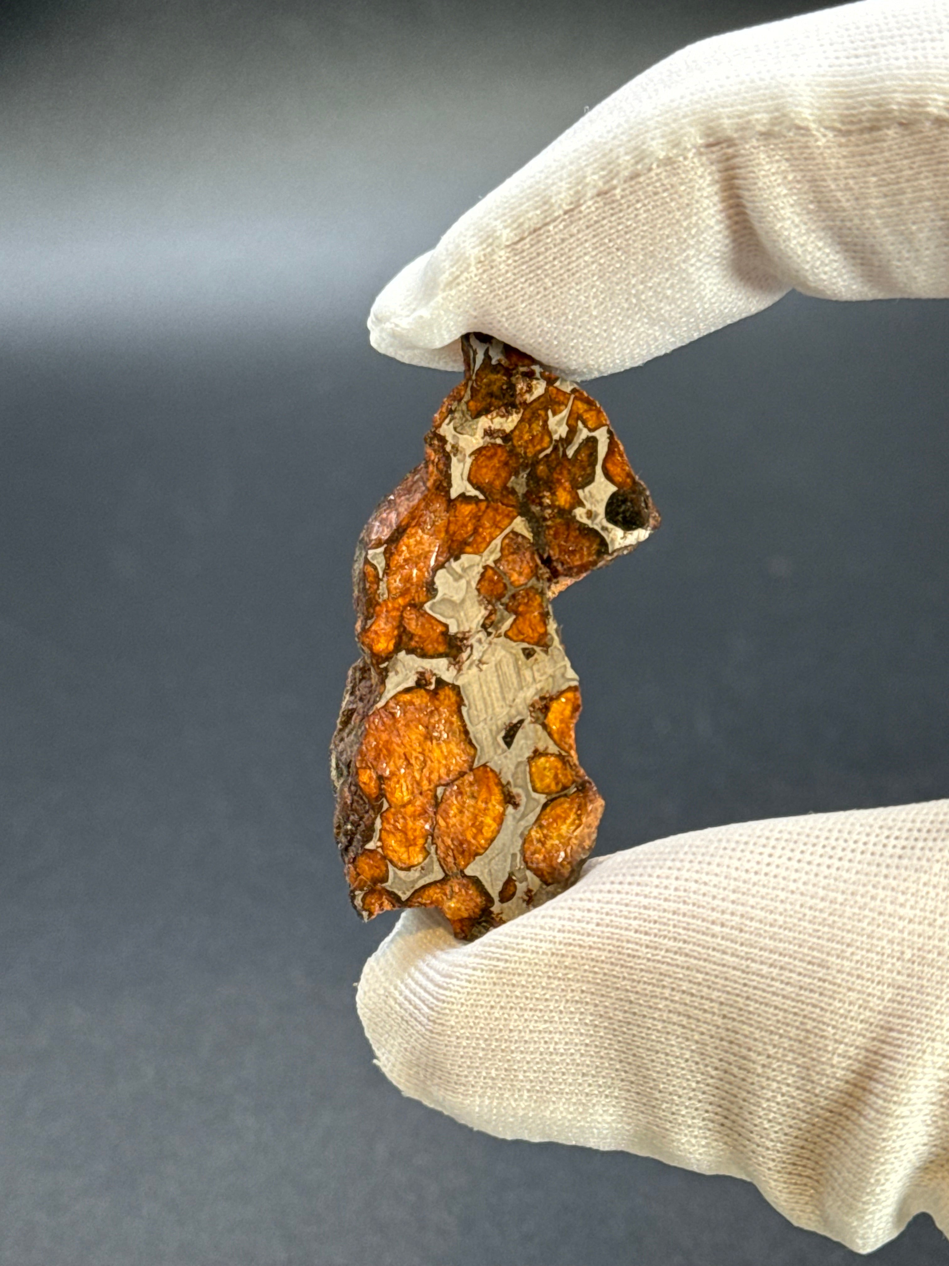 SERICHO PALLASITE METEORITE, KENYA. 15,07 GRAMS END-CUT