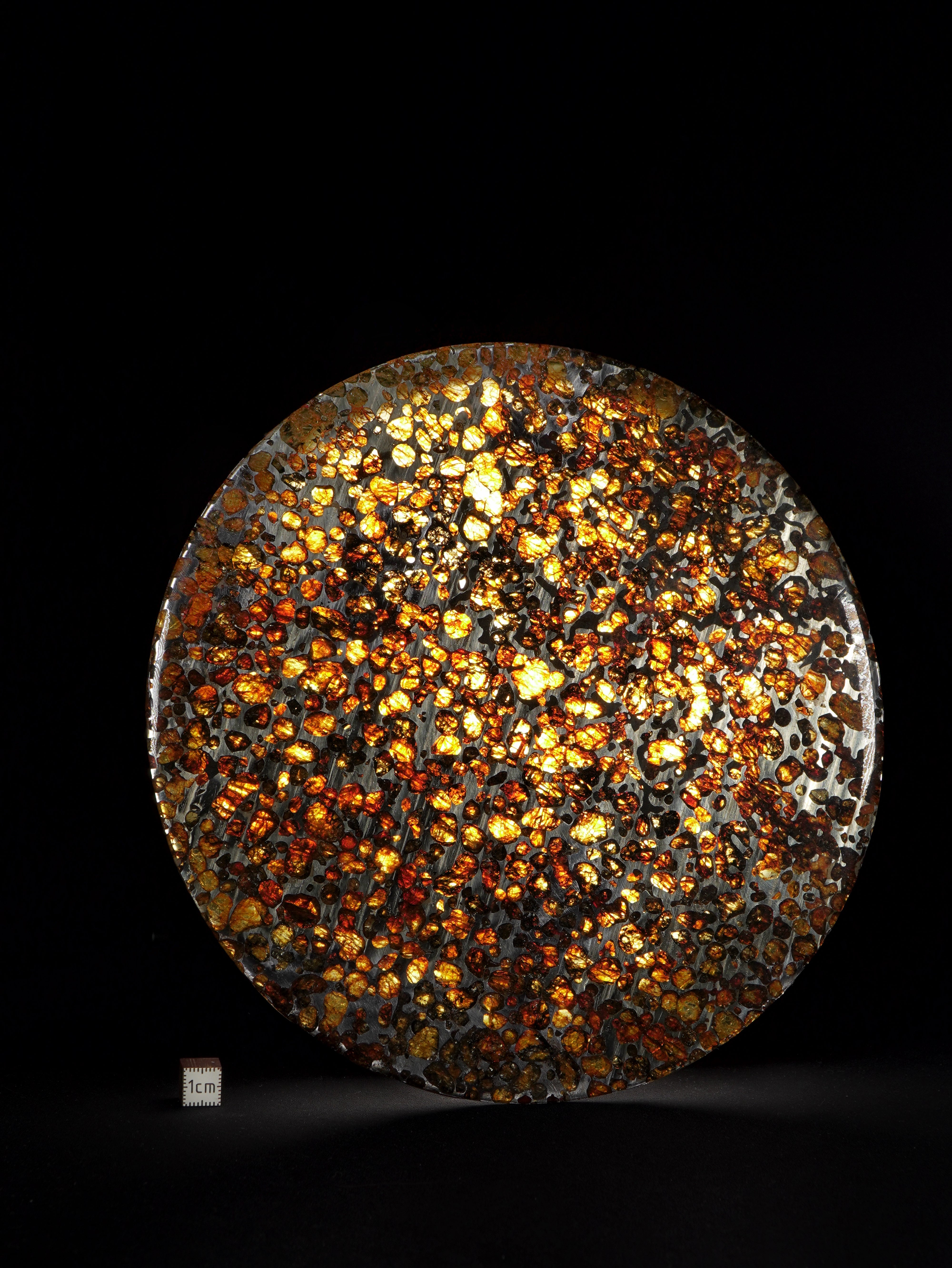 SERICHO PALLASITE METEORITE, KENYA. 286 GRAMS — PERFECTLY ROUND SLICE