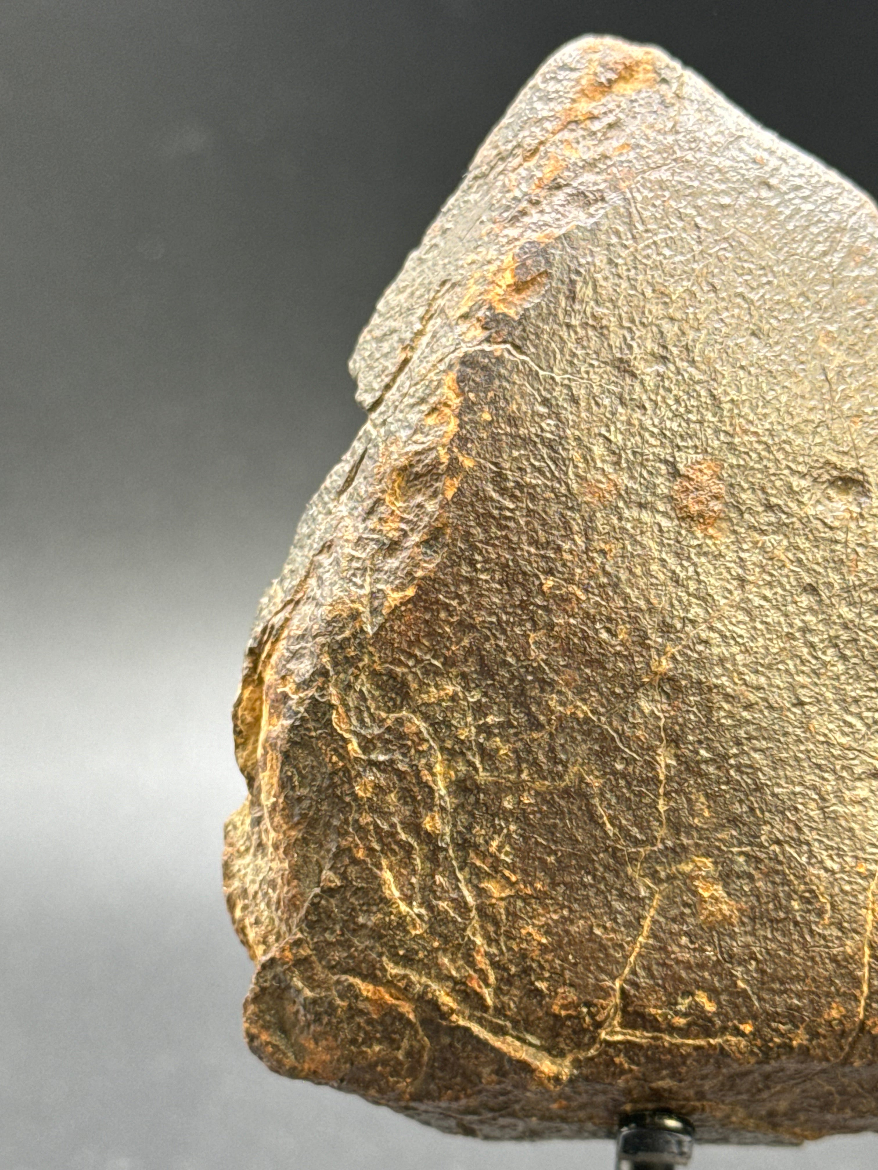CHONDRITE METEORITE, NORTH WEST AFRICA. 232 GRAMS.