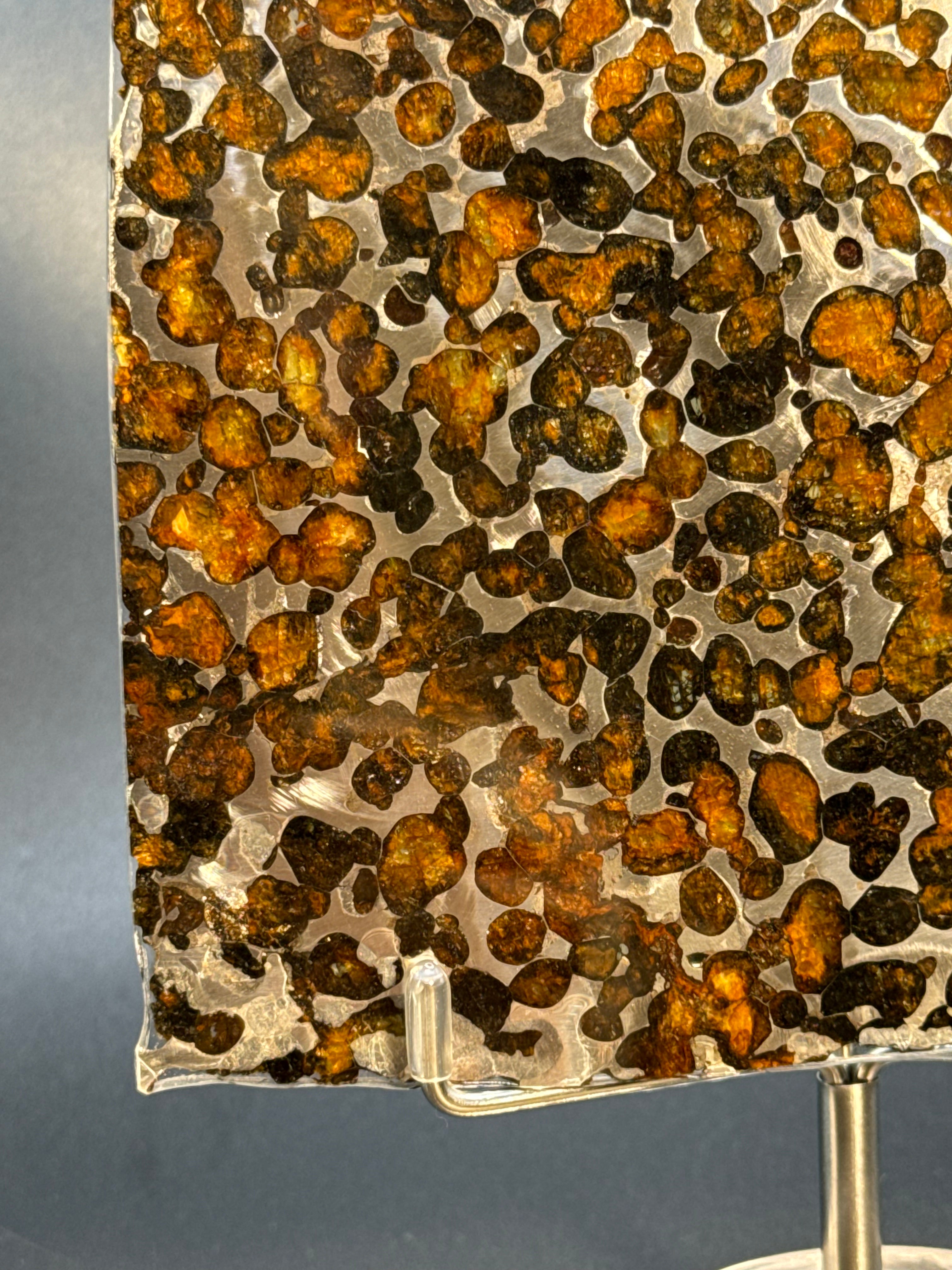 SERICHO METEORITE, KENYA. 116 GRAMS SLICE