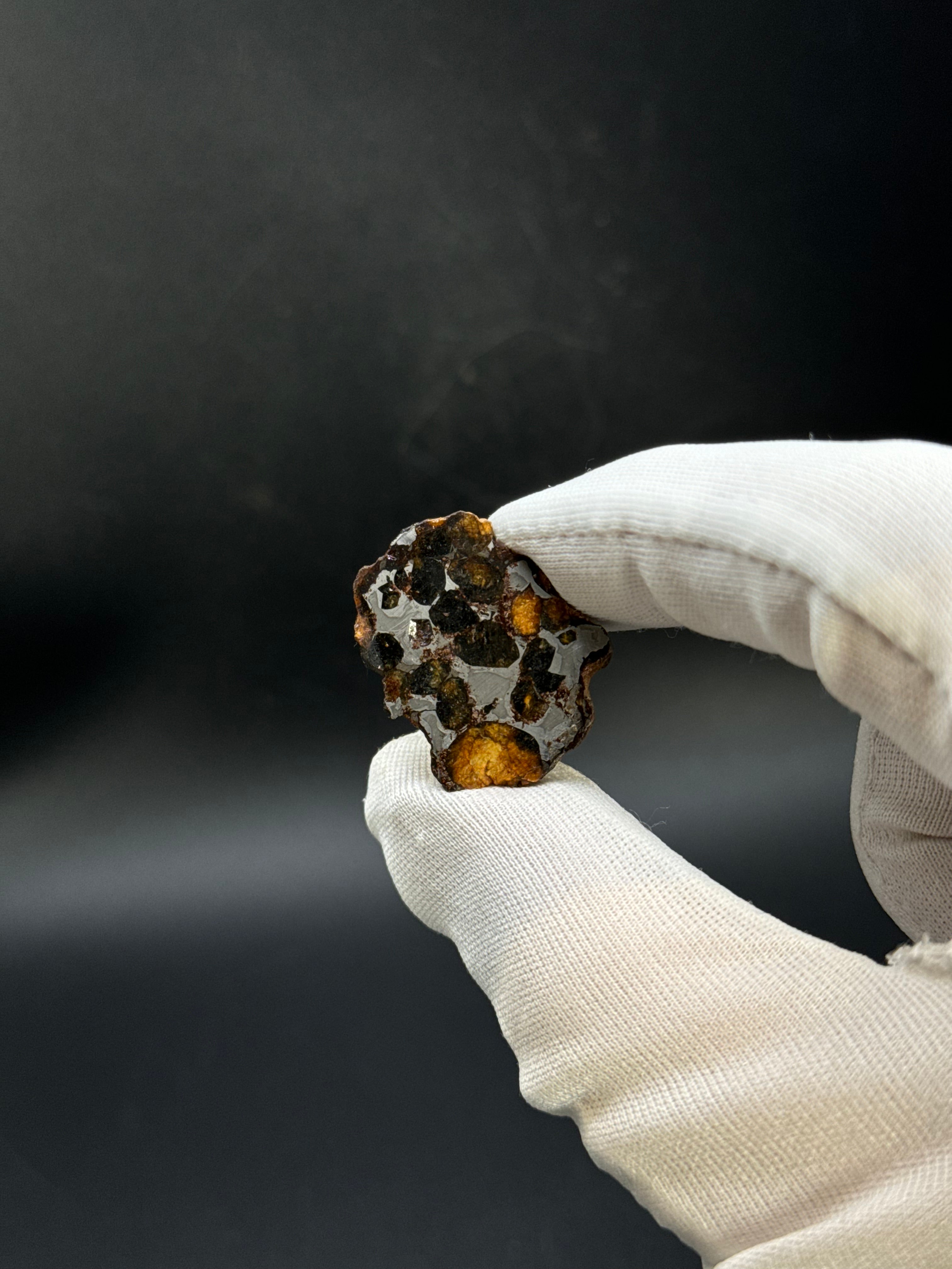 SERICHO PALLASITE METEORITE, KENYA. 9 GRAMS END-CUT.
