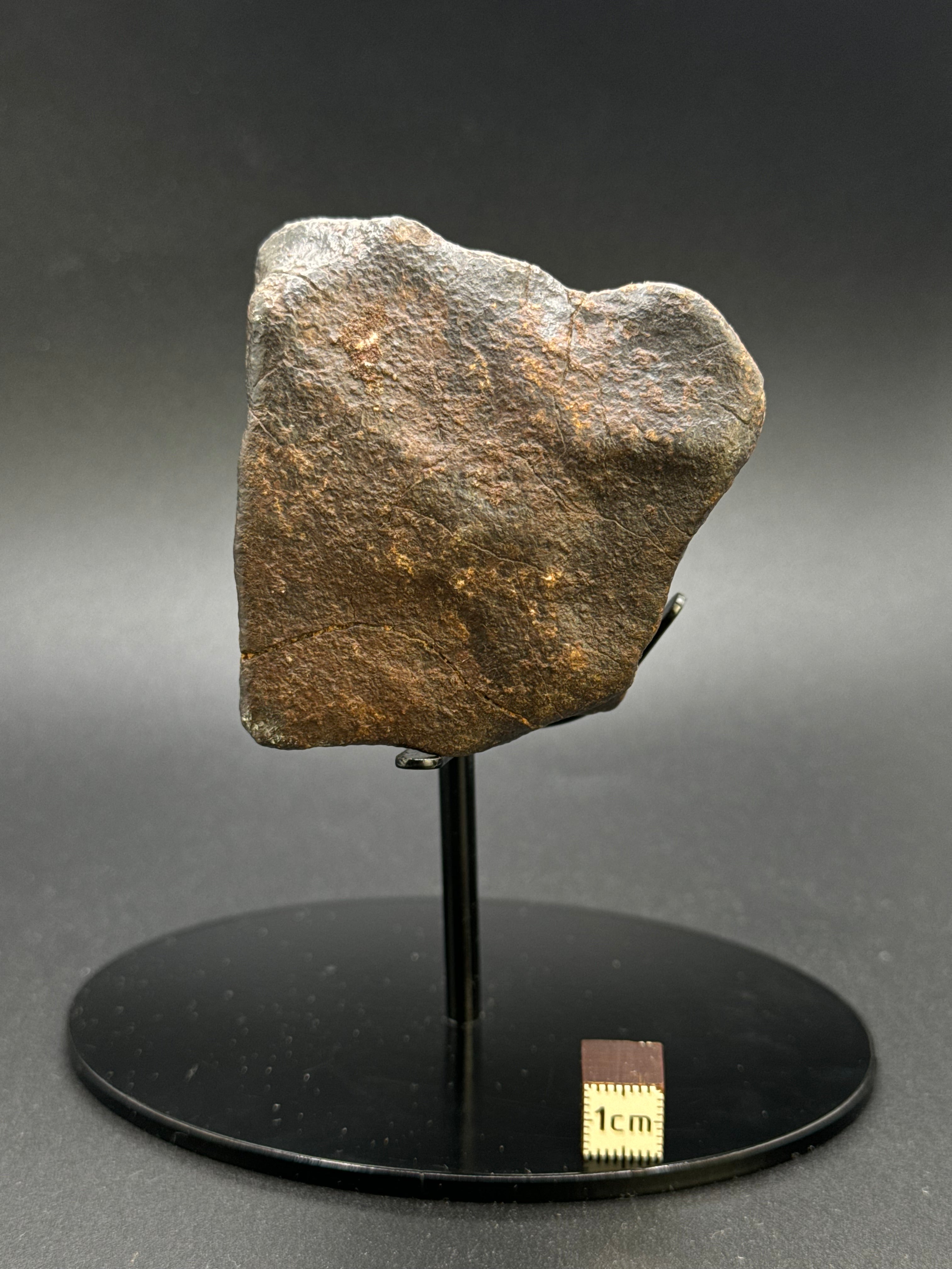 CHONDRITE METEORITE, NORTH WEST AFRICA. 263 GRAMS.