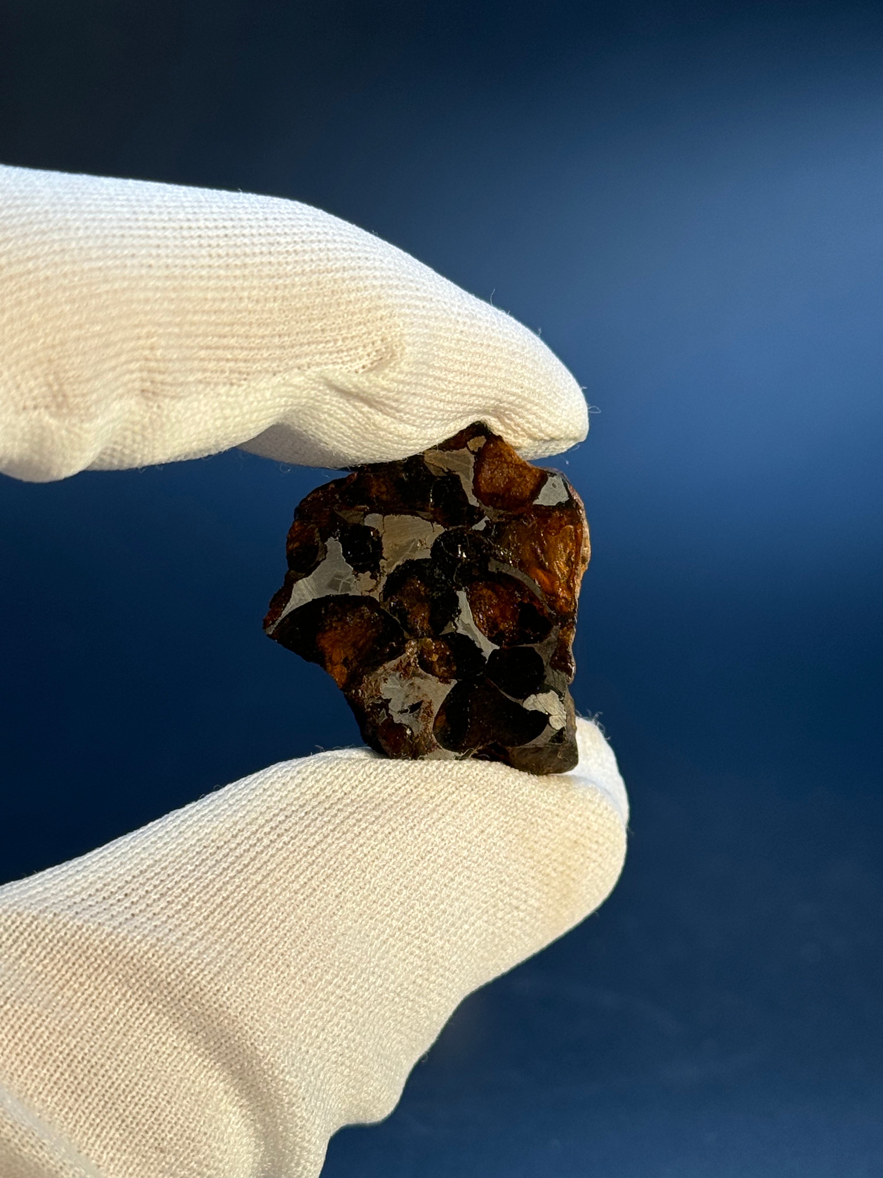 SERICHO PALLASITE METEORITE, KENYA. 11,40 GRAMS END-CUT