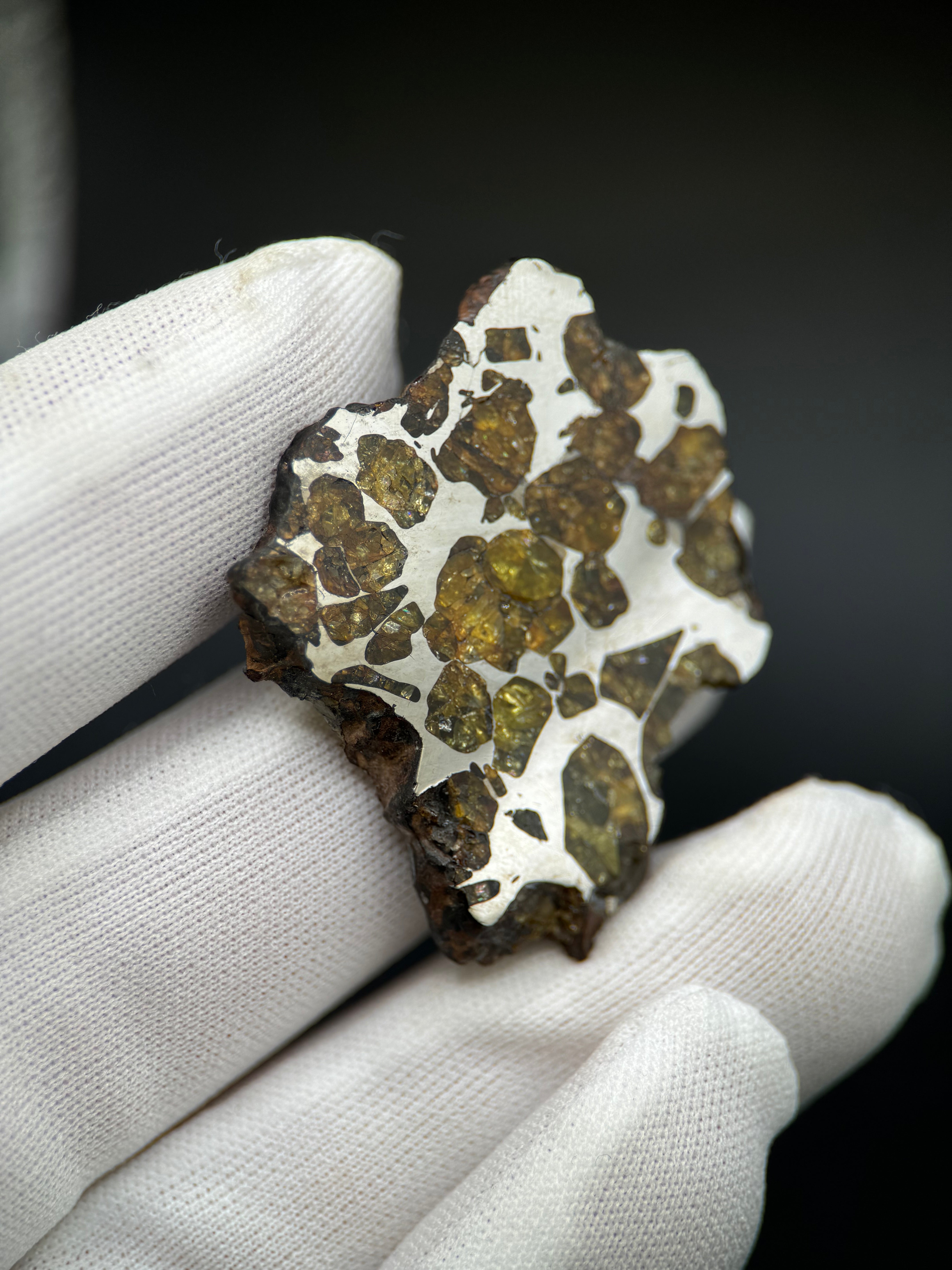 IMILAC PALLASITE METEORITE, CHILE. 15,06 GRAMS slice