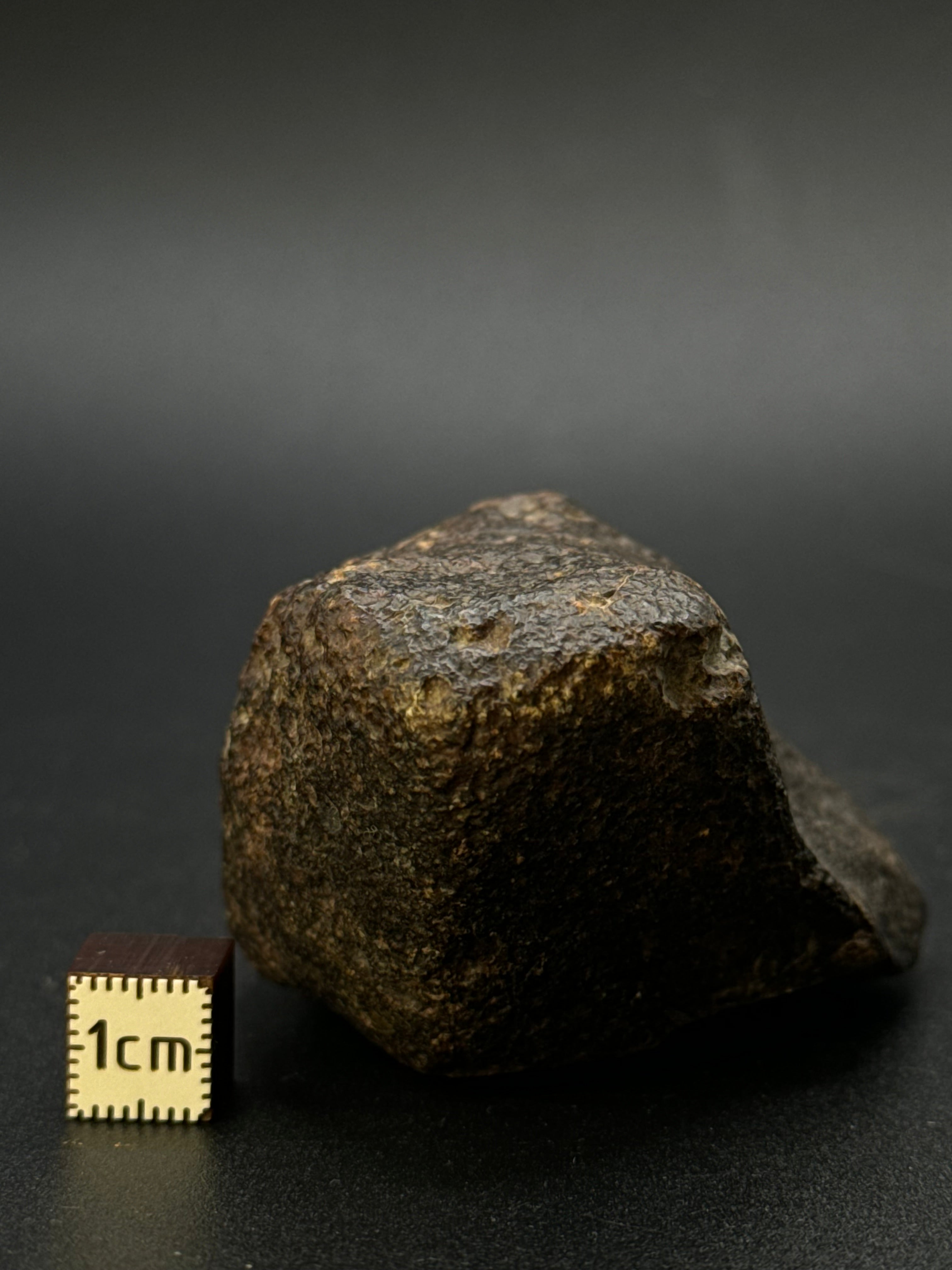 CHONDRITE METEORITE, NORTH WEST AFRICA. 171 GRAMS.