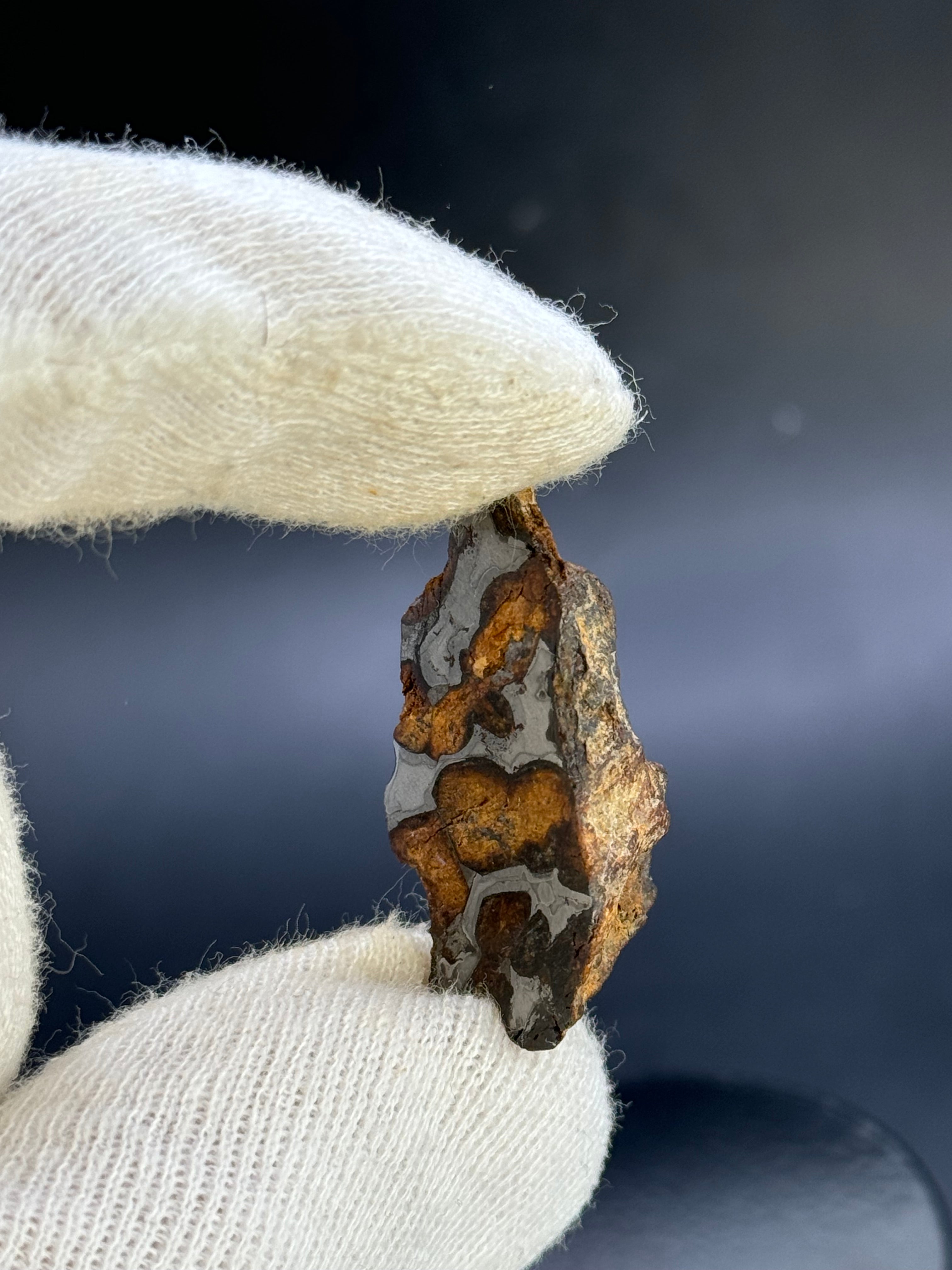 SERICHO PALLASITE METEORITE, KENYA. 13,63 GRAMS END-CUT.